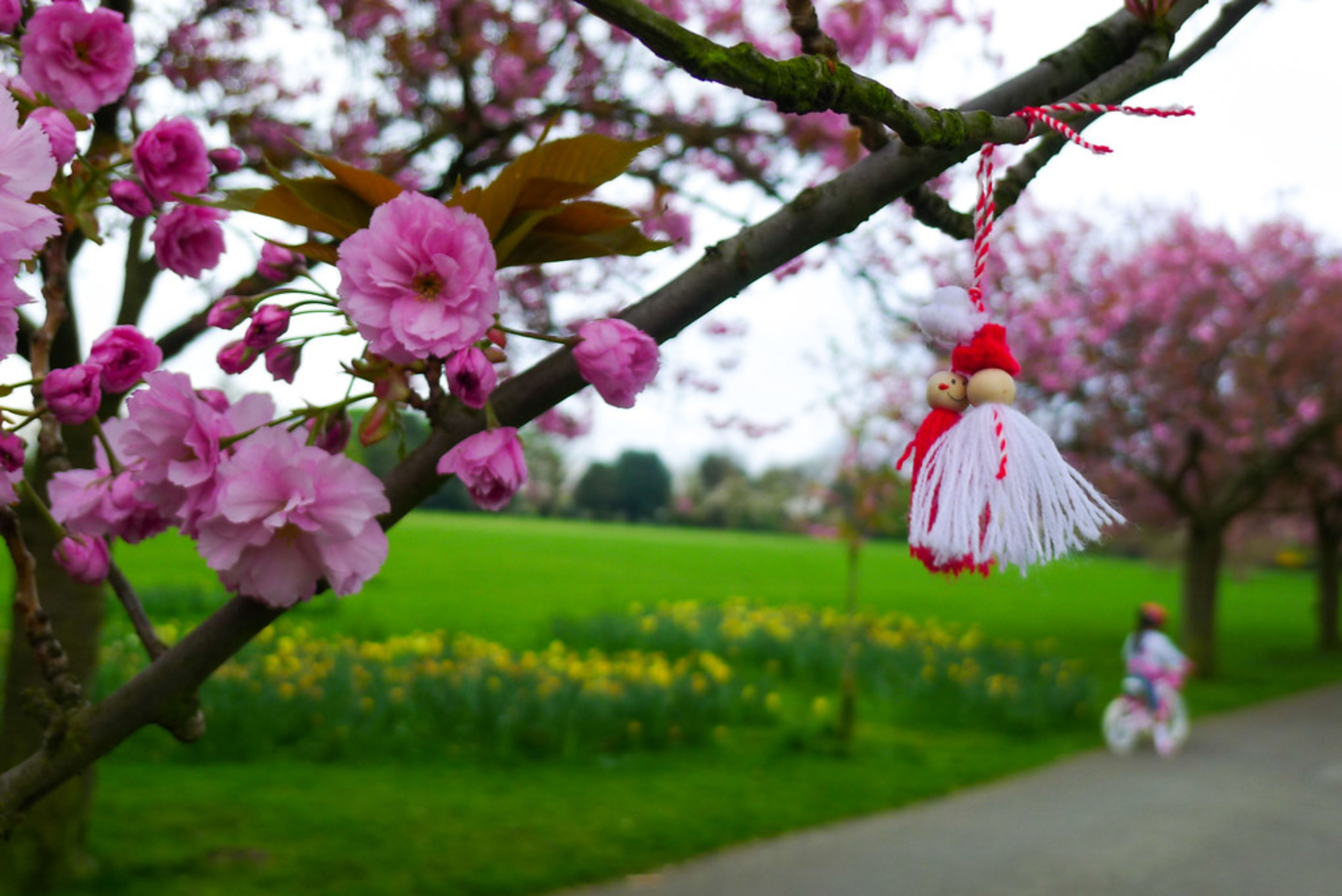 Greenwich Park