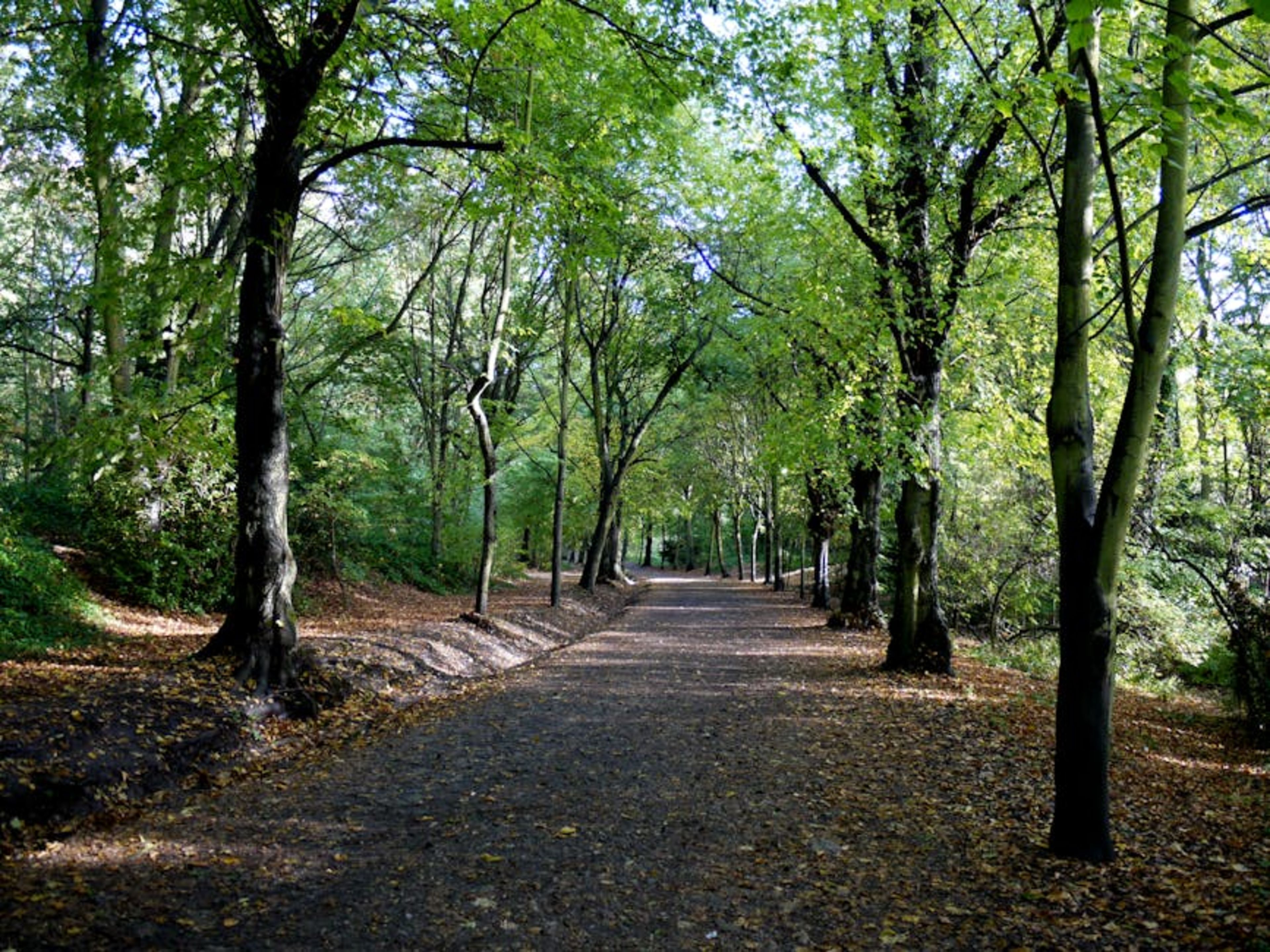 Hampstead Heath