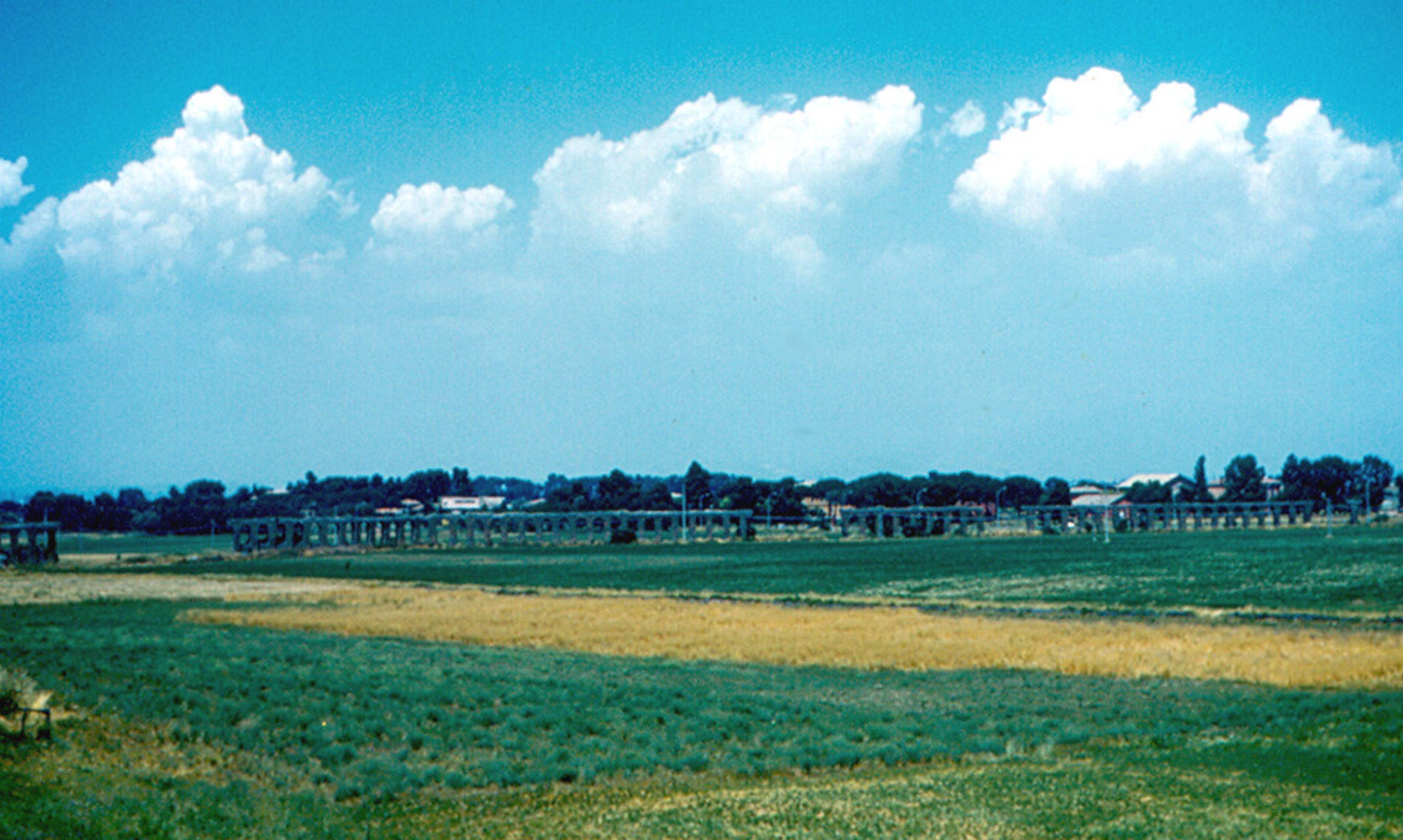 Via Appia Antica (Appian Way)