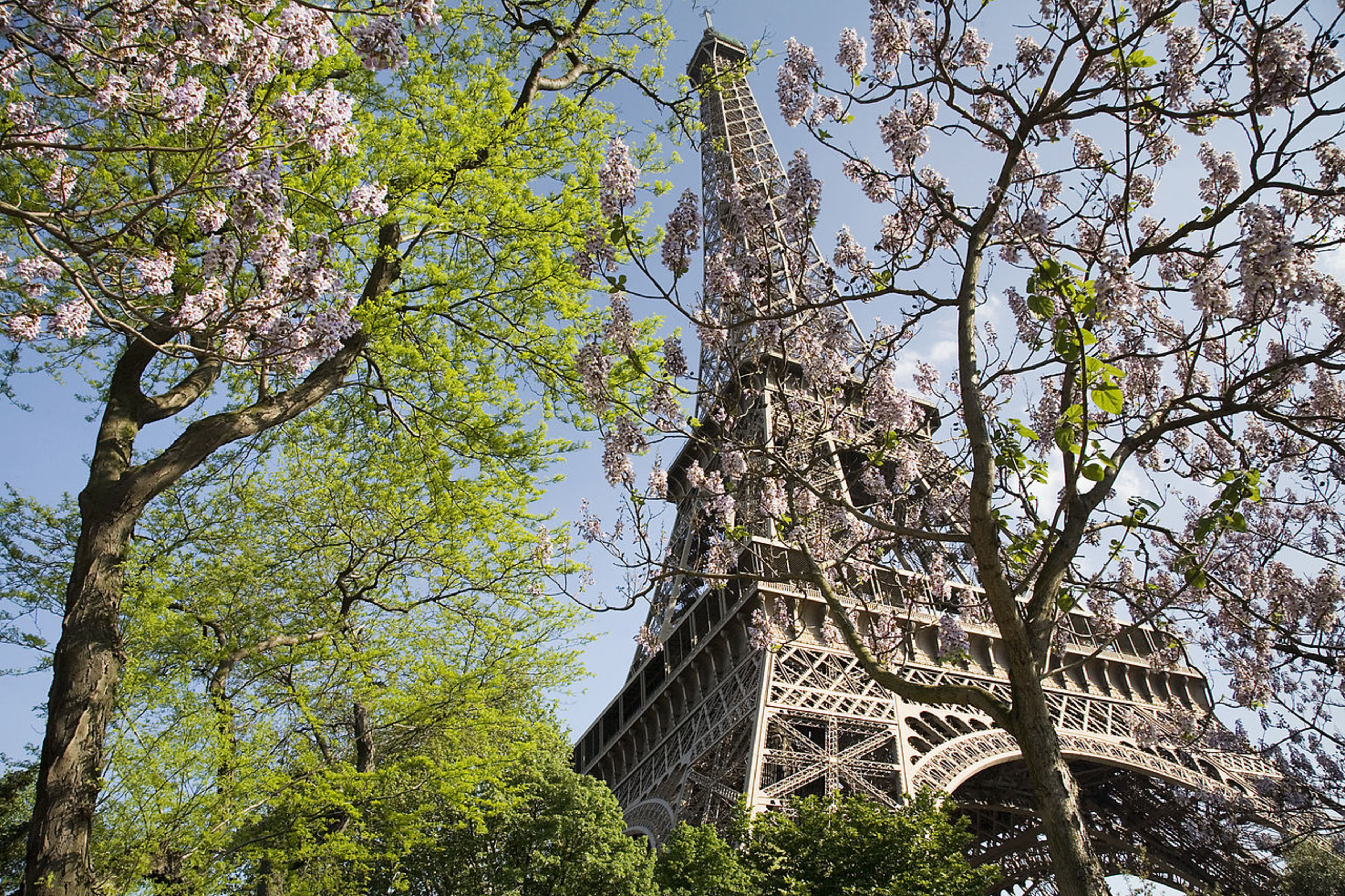 Eiffel Tower