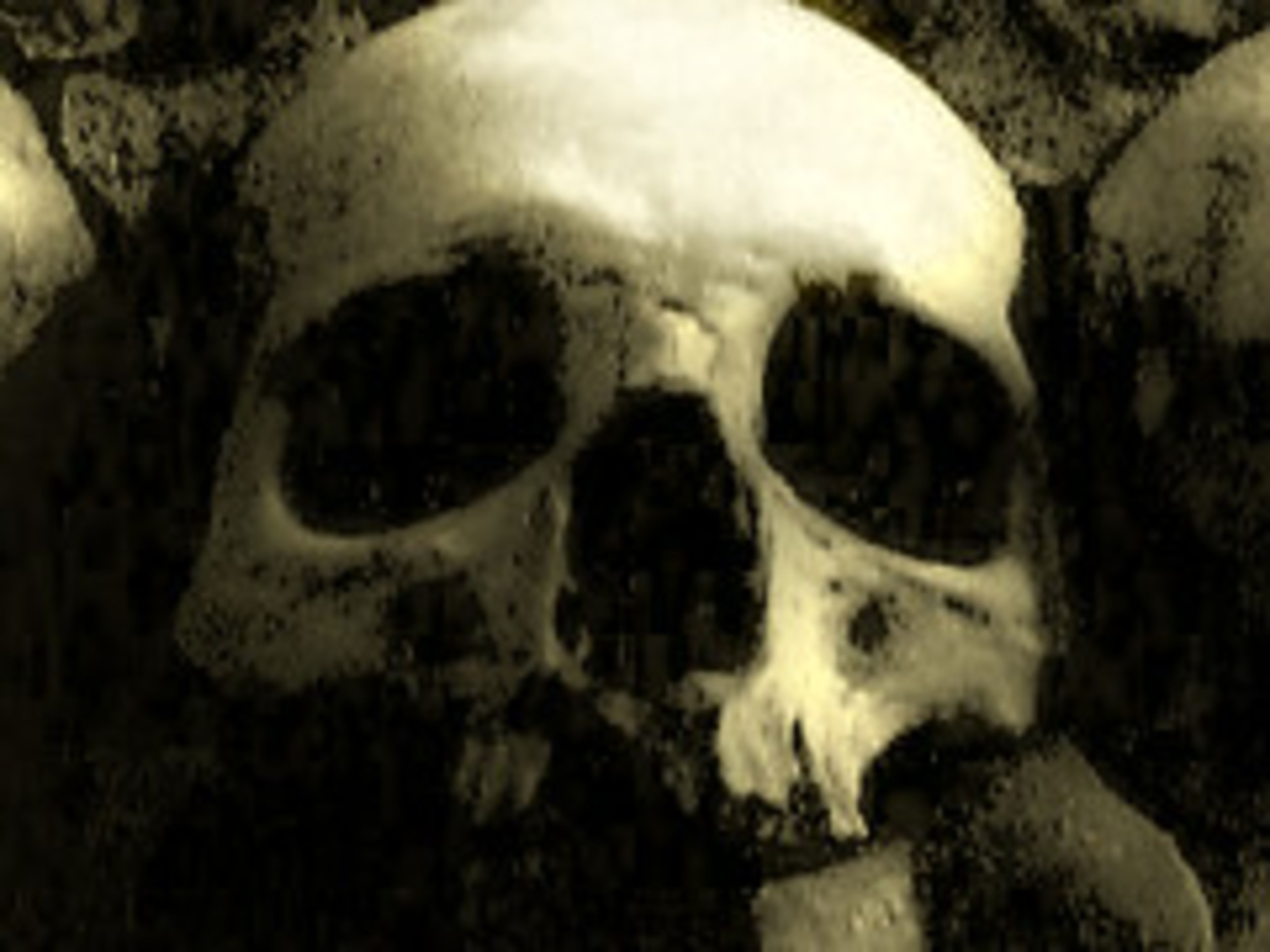 Catacombs of Paris