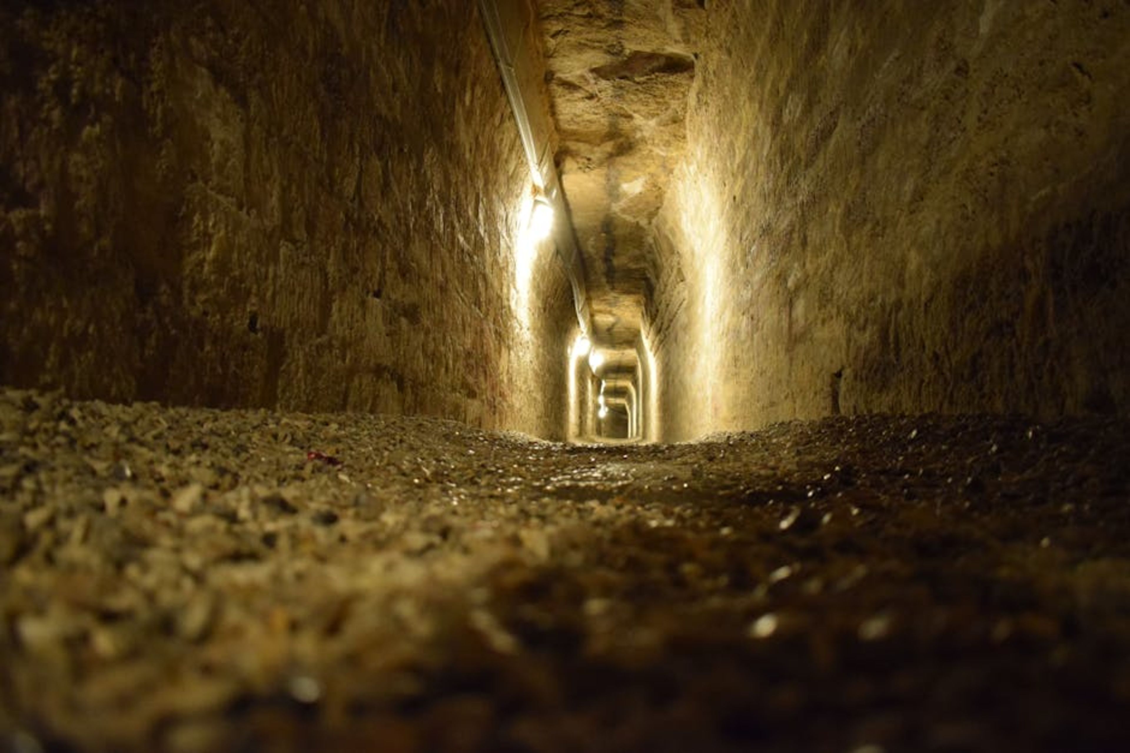 Catacombs of Paris