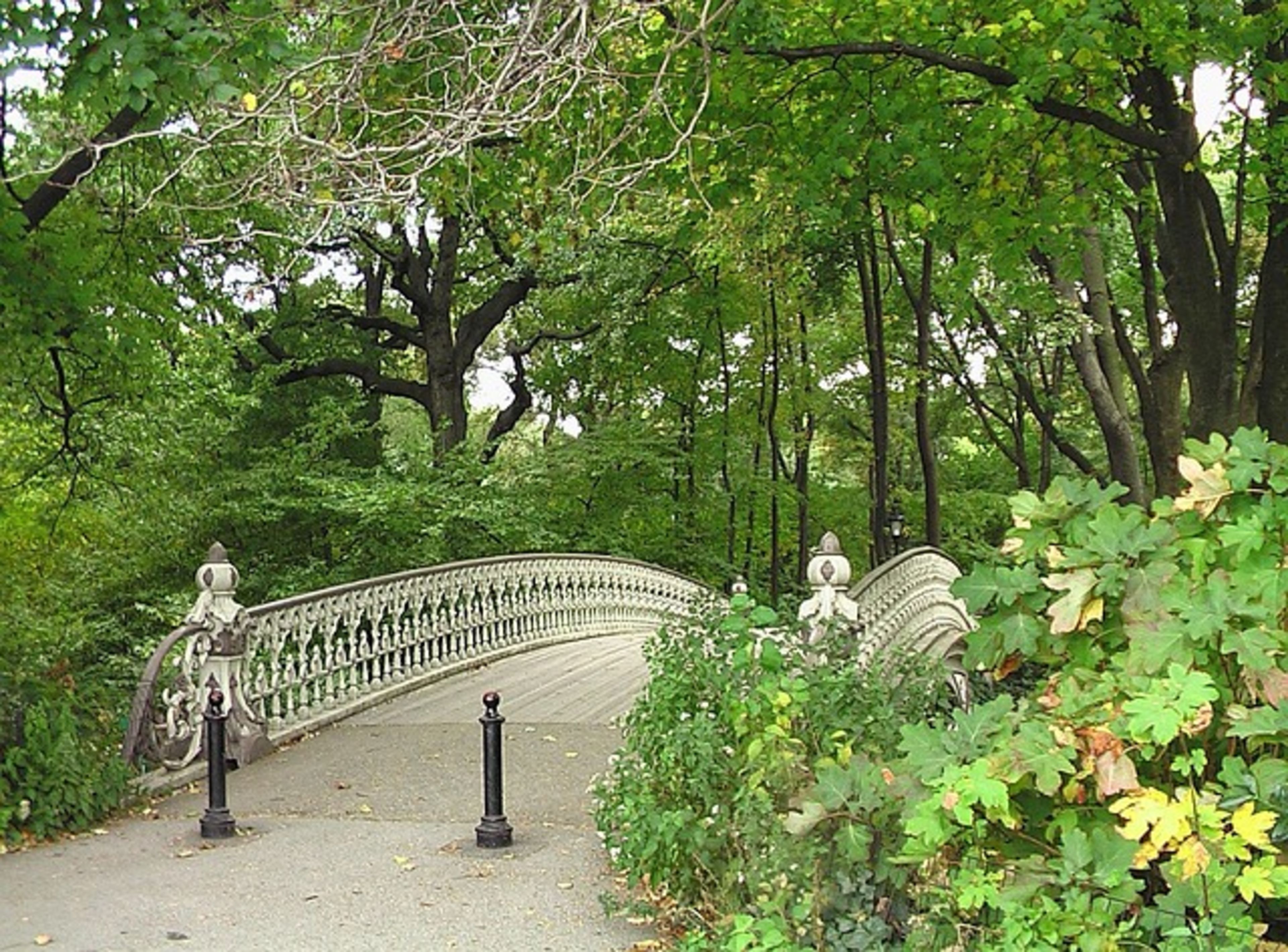 Central Park