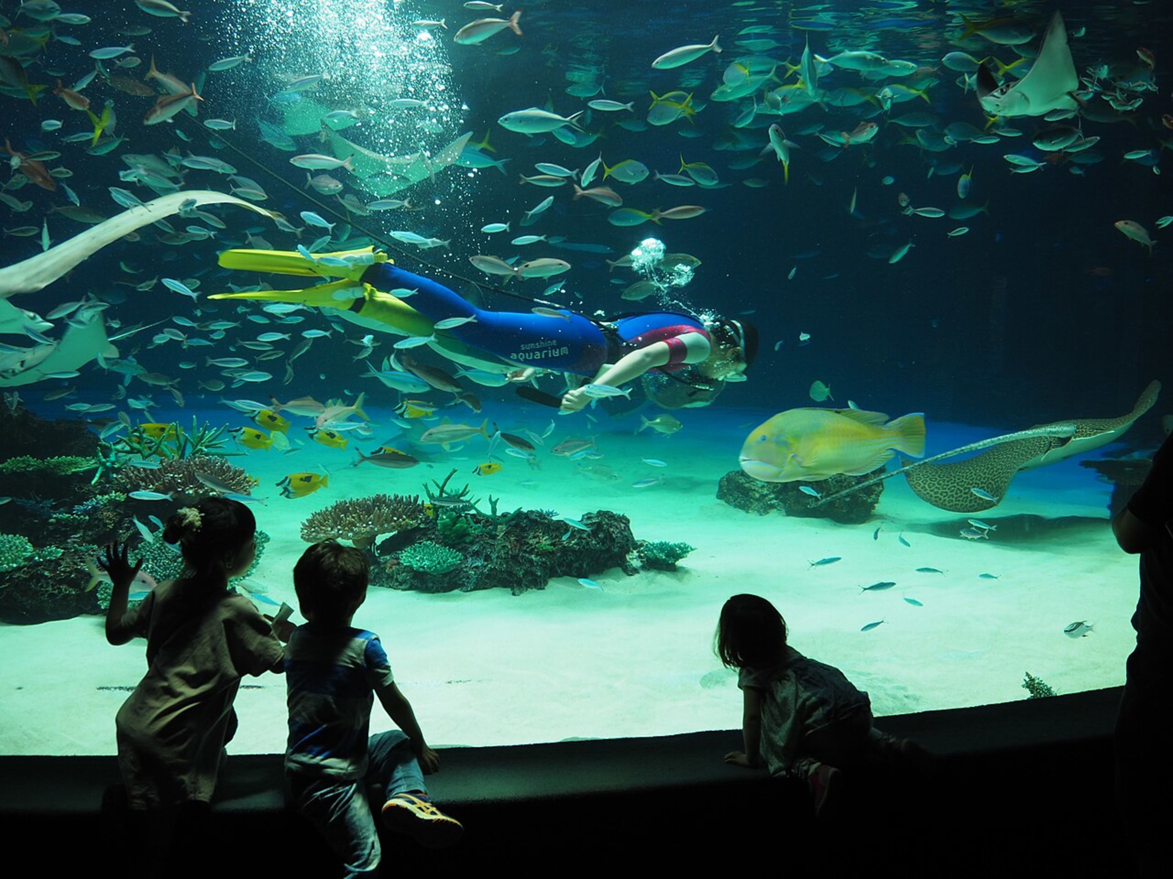 JapanAquarium (Sunshine)