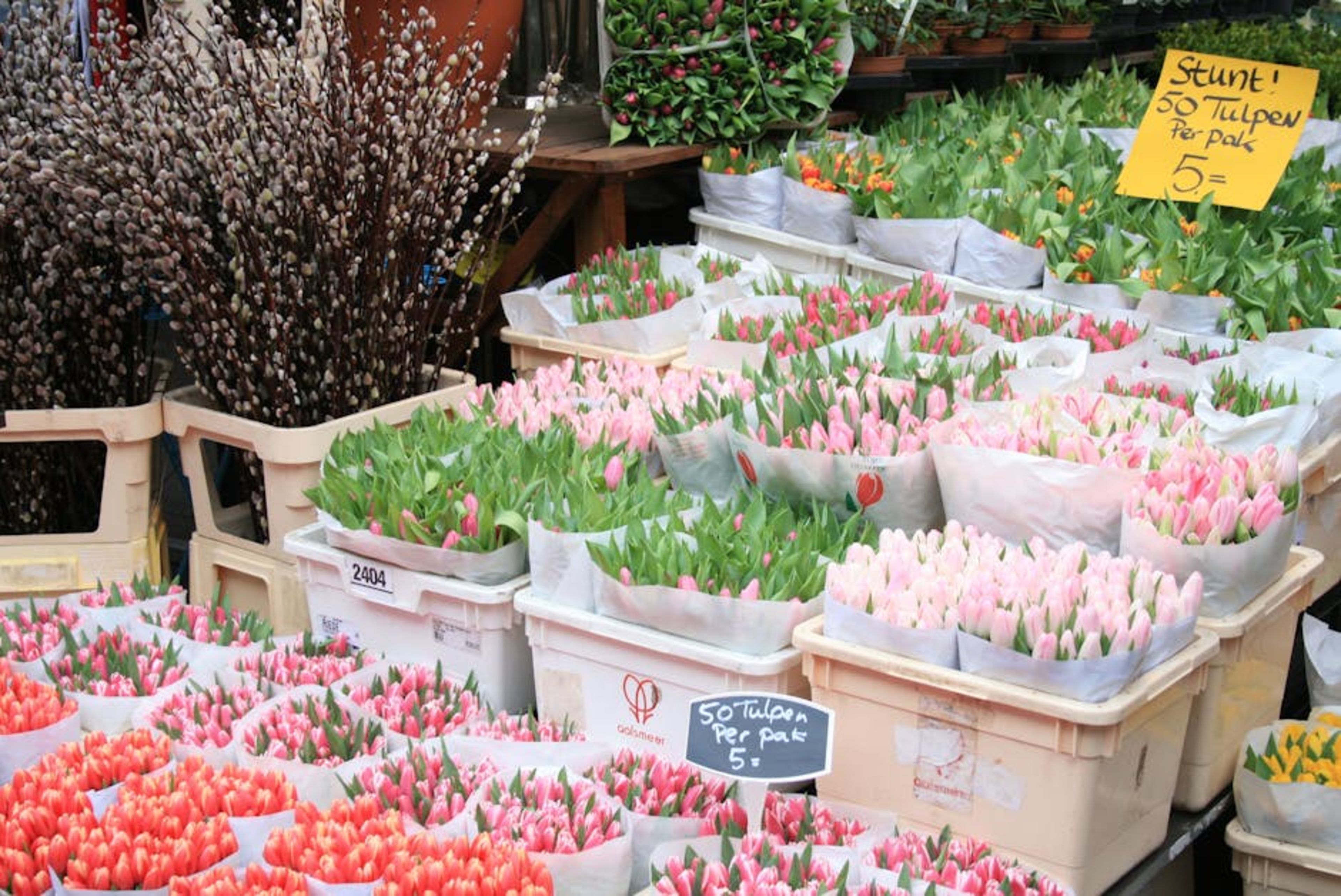 Bloemenmarkt (Flower Market)
