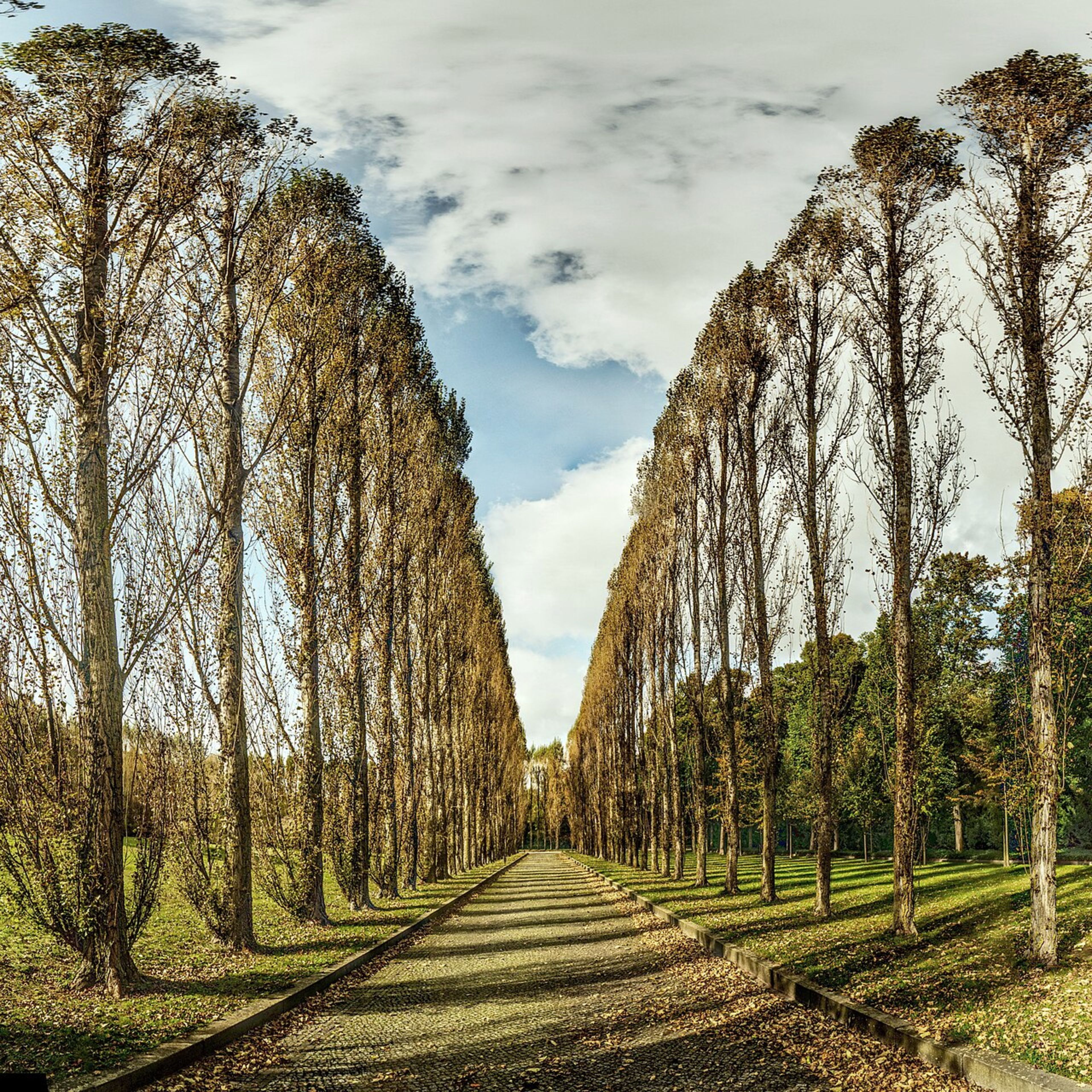 Treptower Park