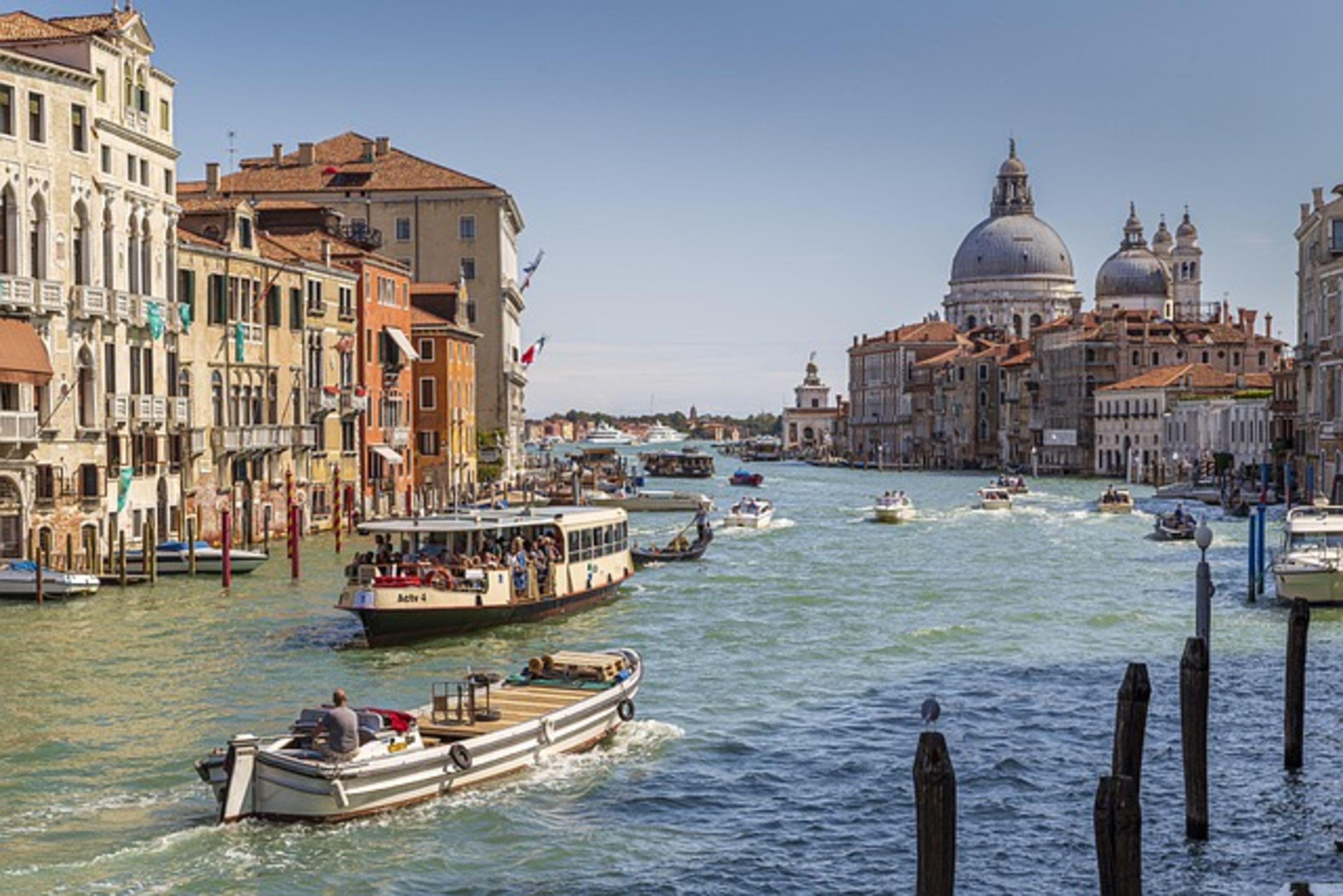 Museo di Storia Naturale di Venezia