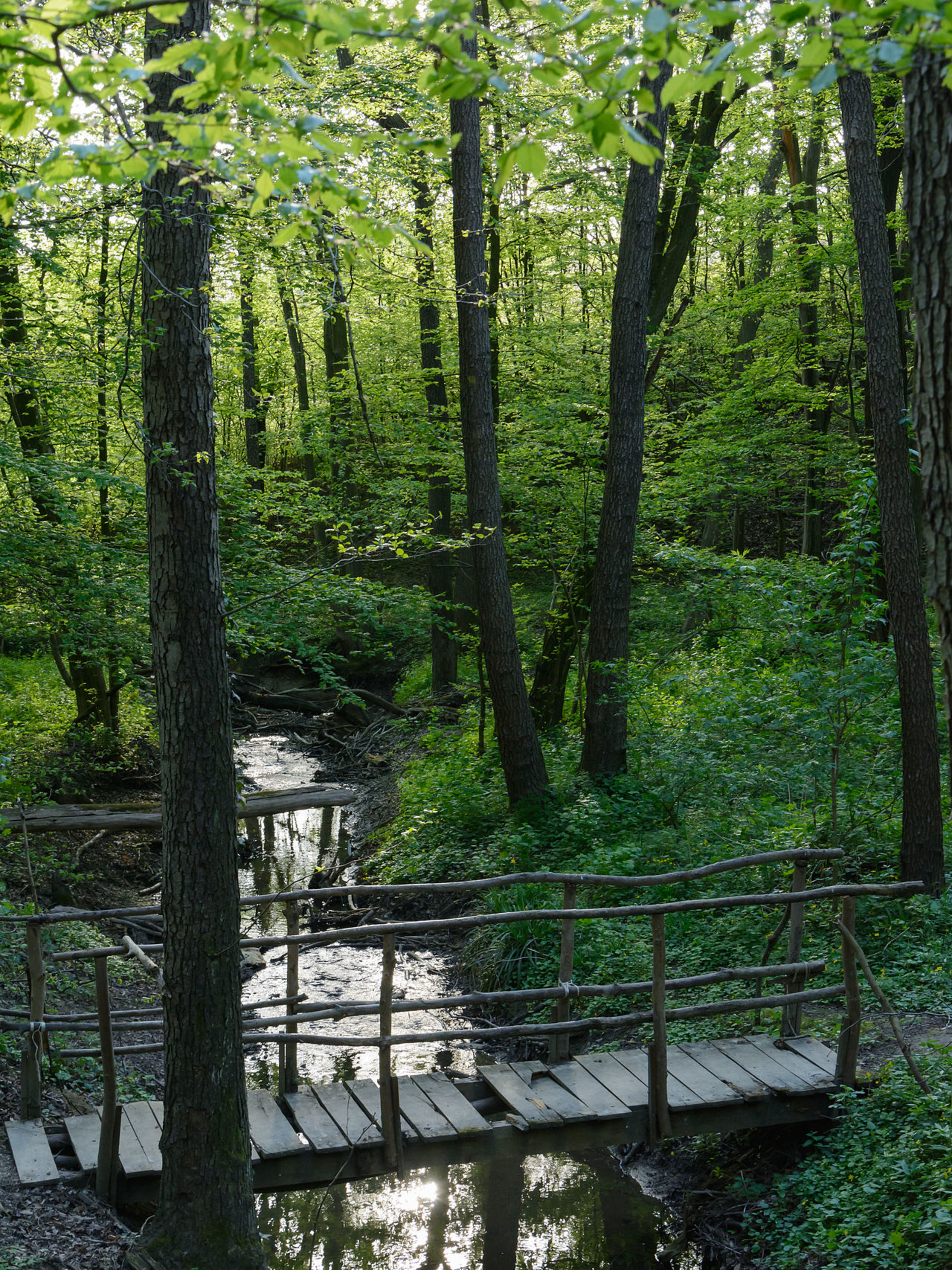 Vienna Woods (Wienerwald)