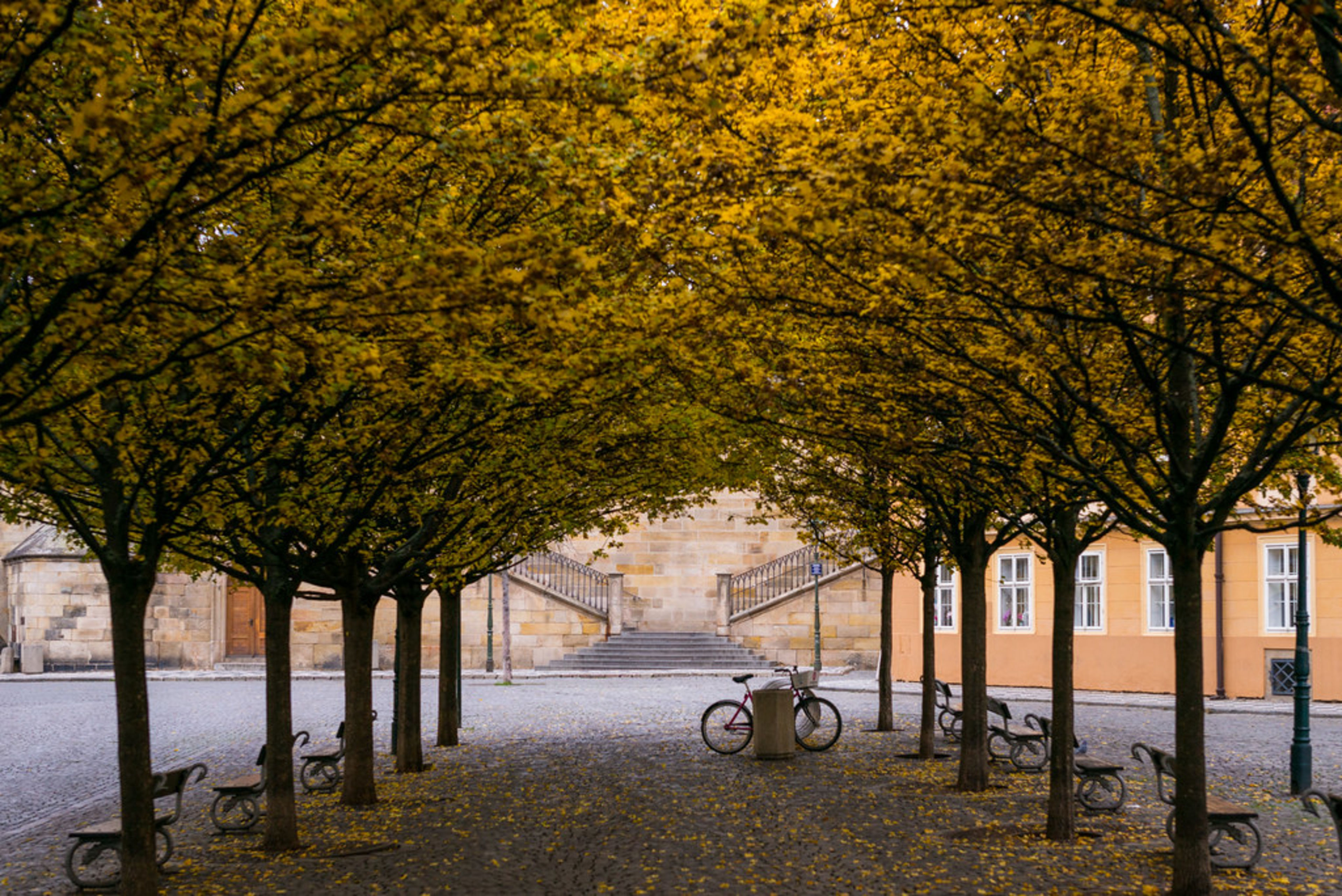 Kampa Island