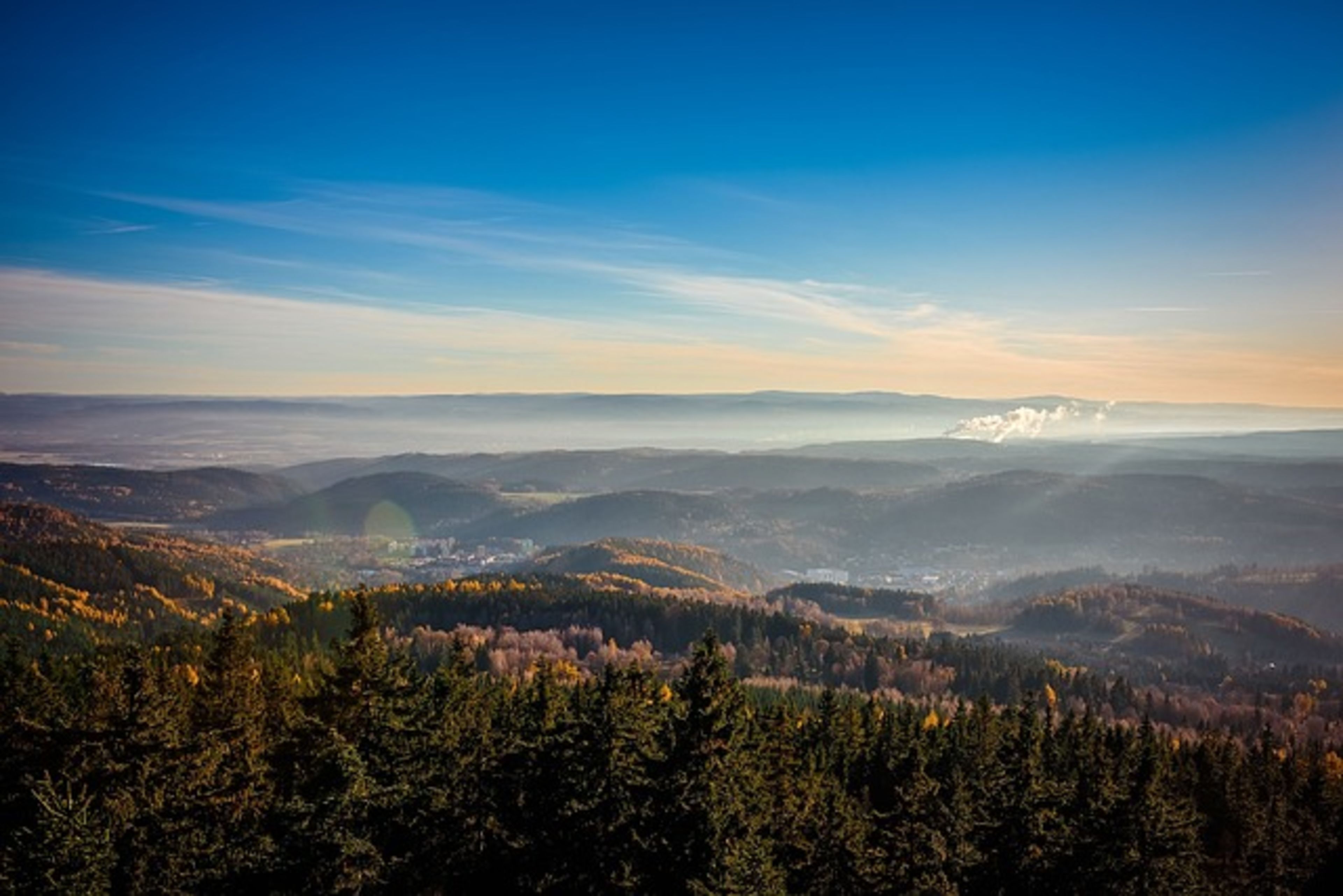 Divoká Šárka Nature Reserve