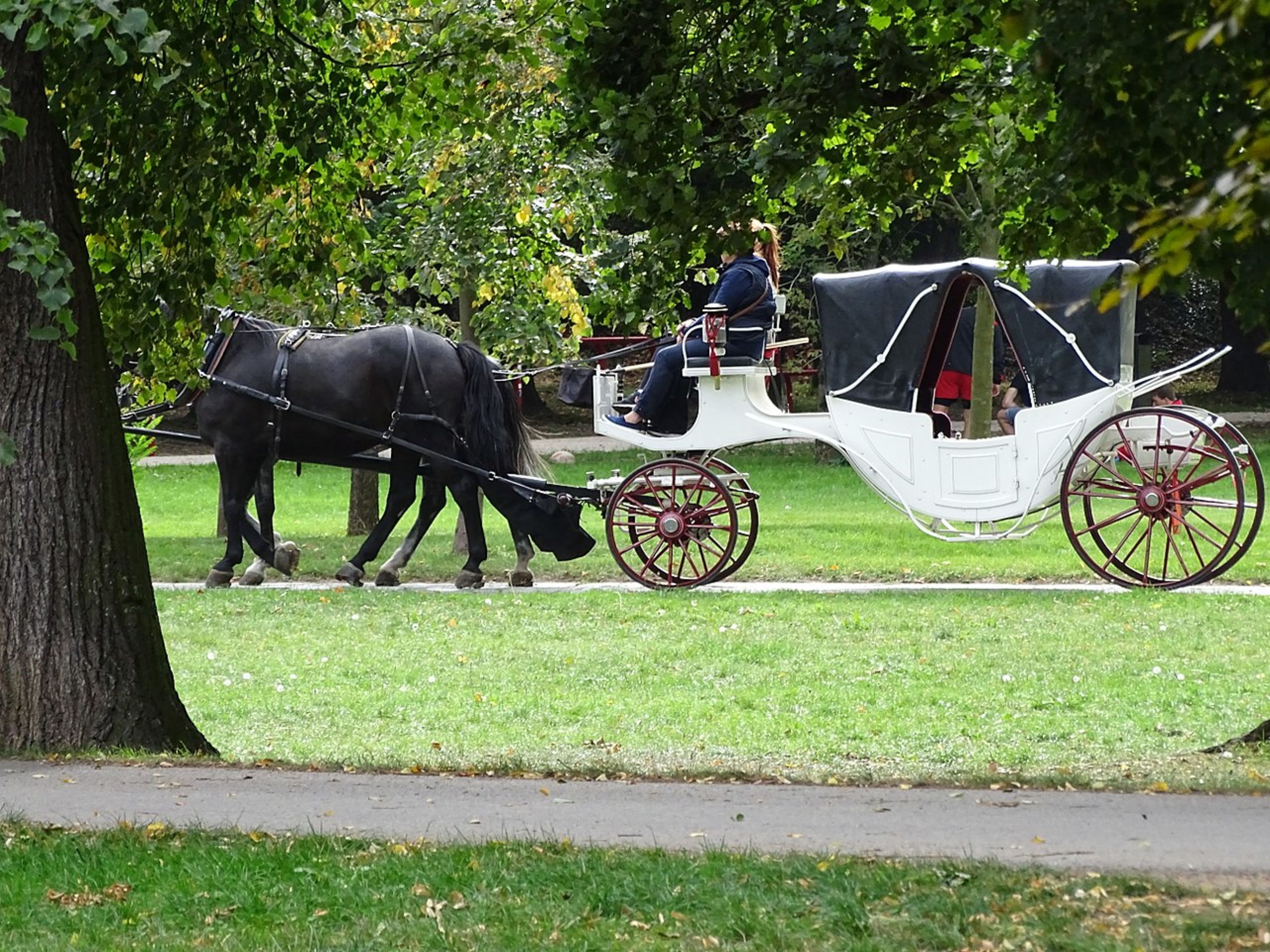Stromovka Park
