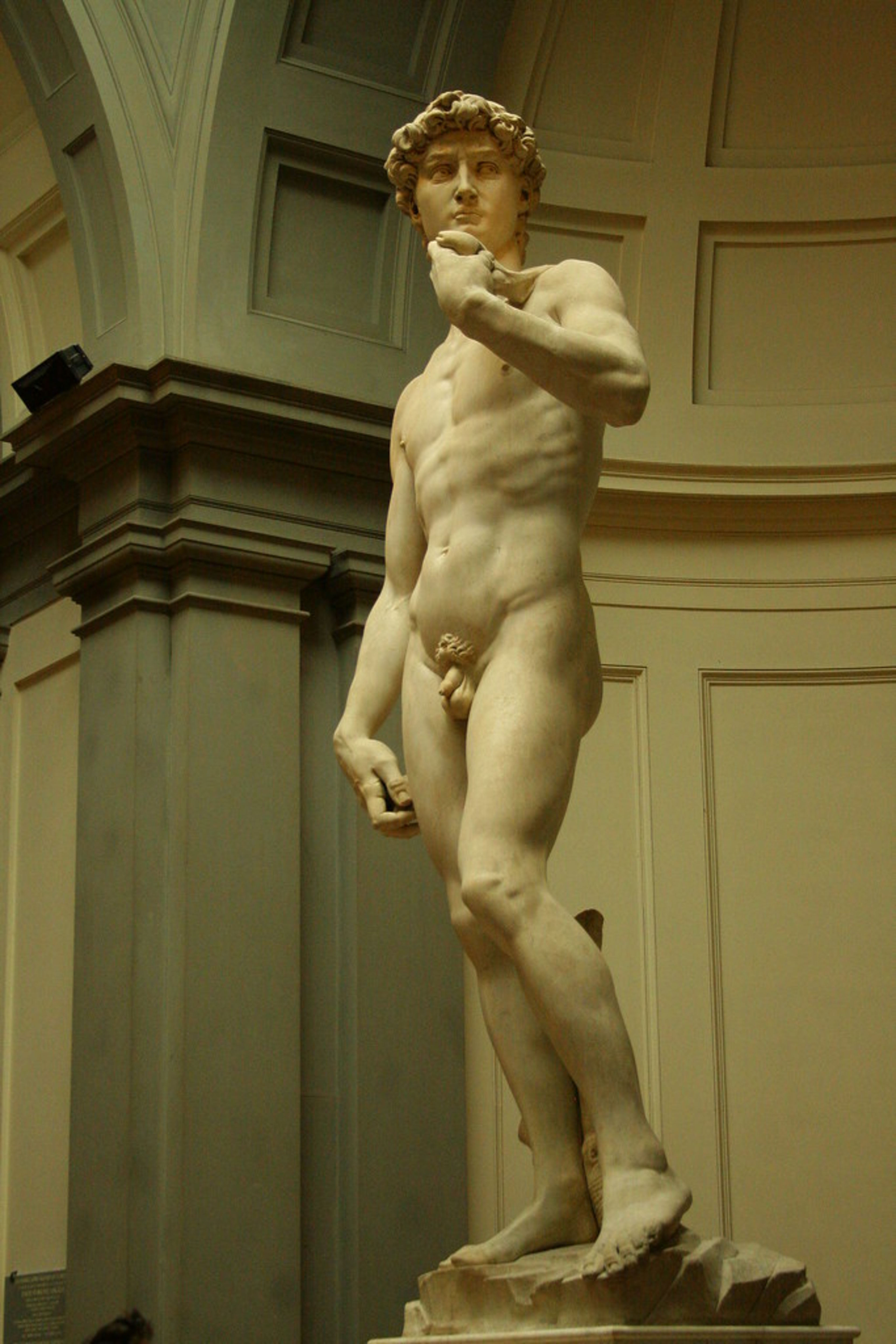 Accademia Gallery (David by Michelangelo)
