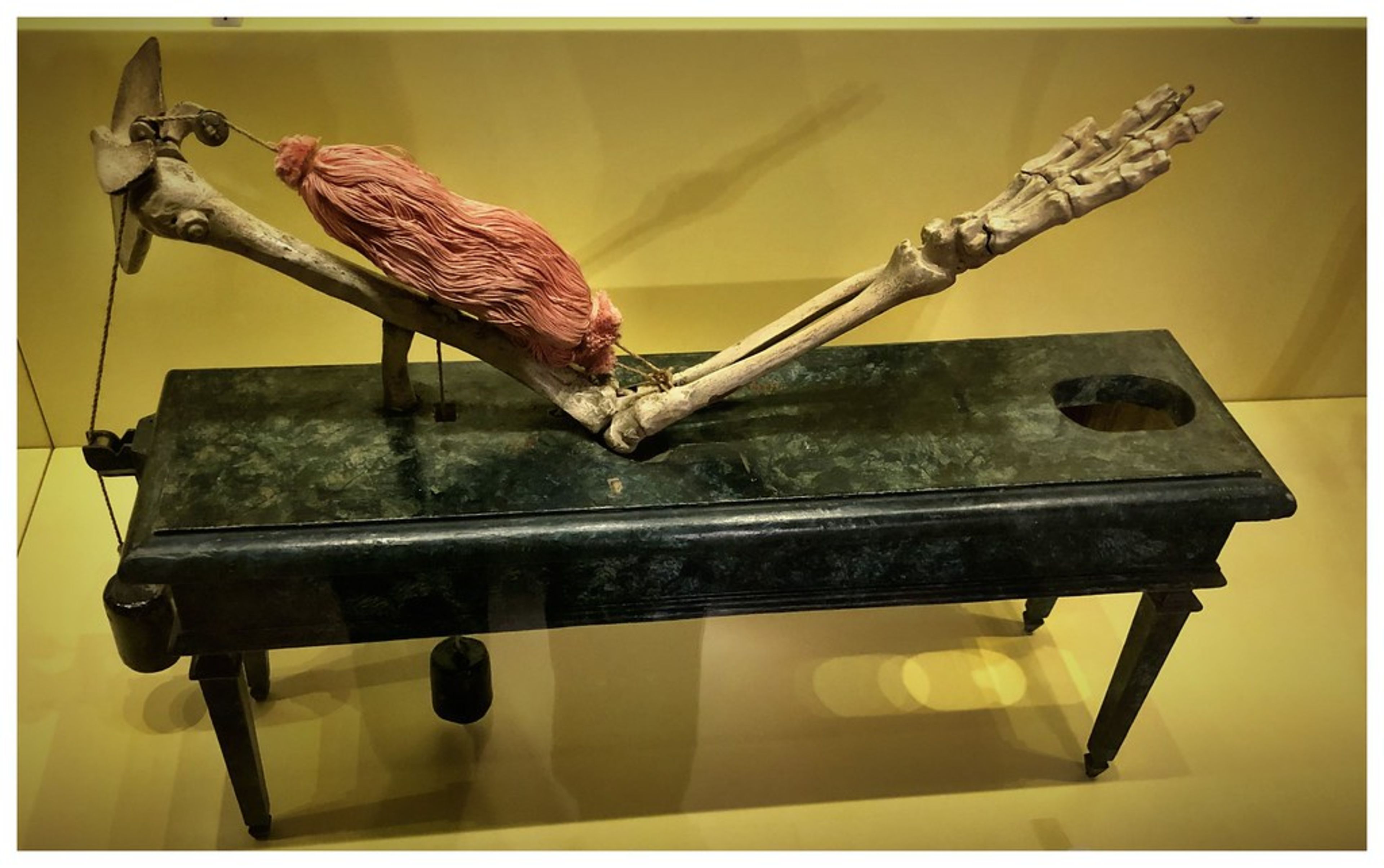 Galileo Museum (Science Museum)