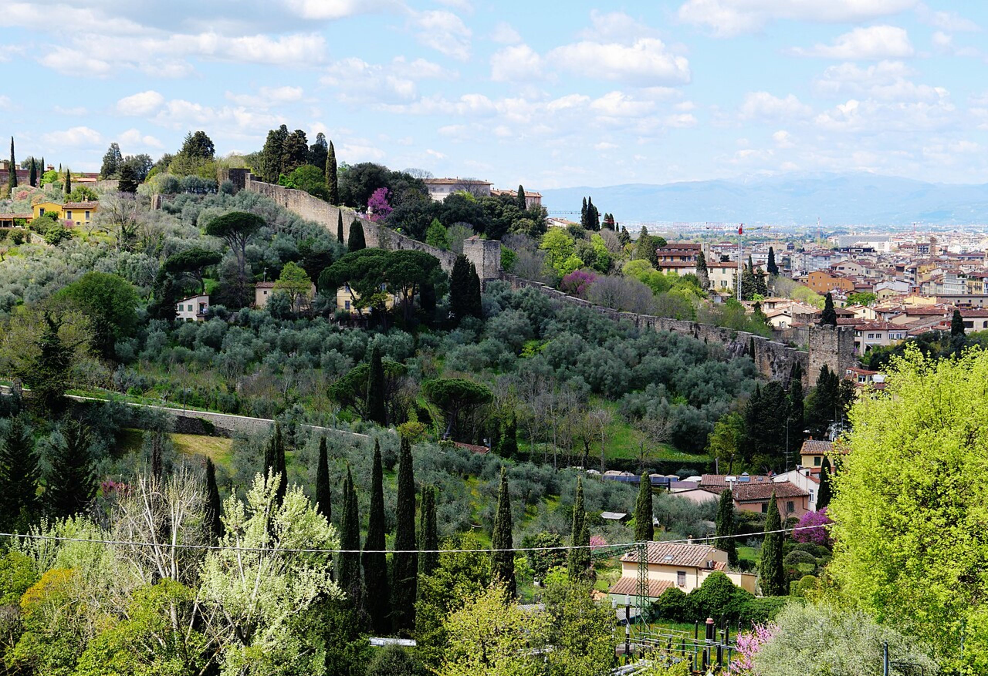 Rose Garden (Giardino delle Rose)