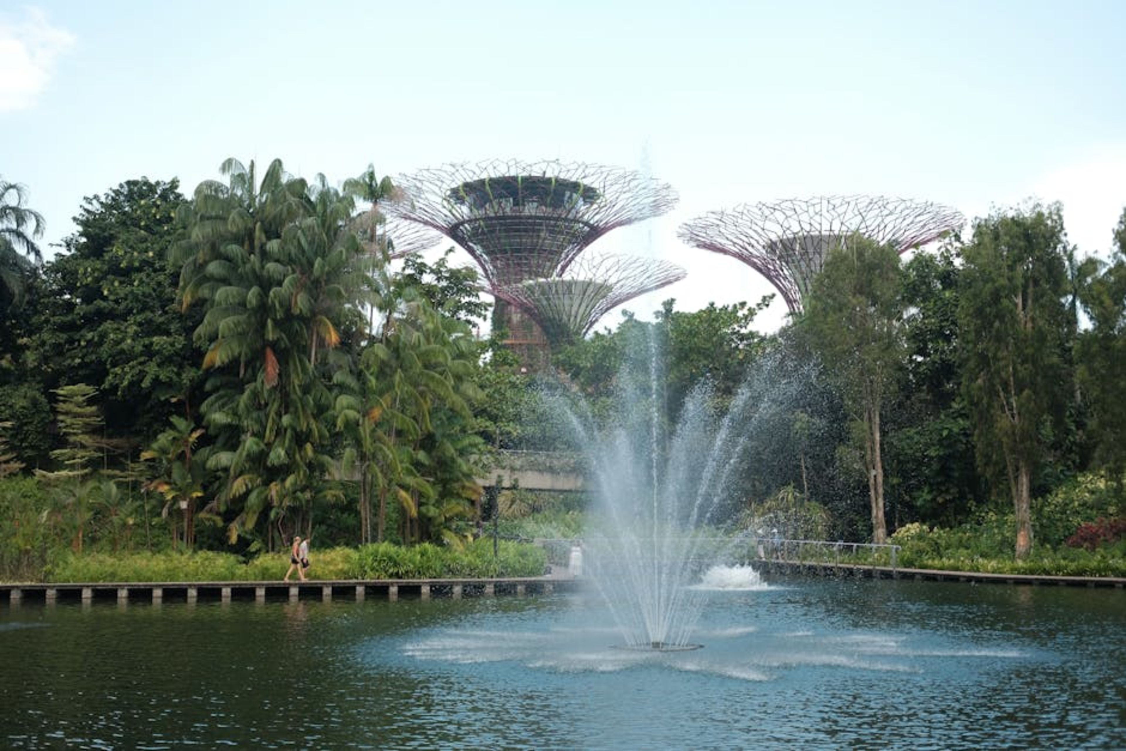 Gardens by the Bay (Supertrees)