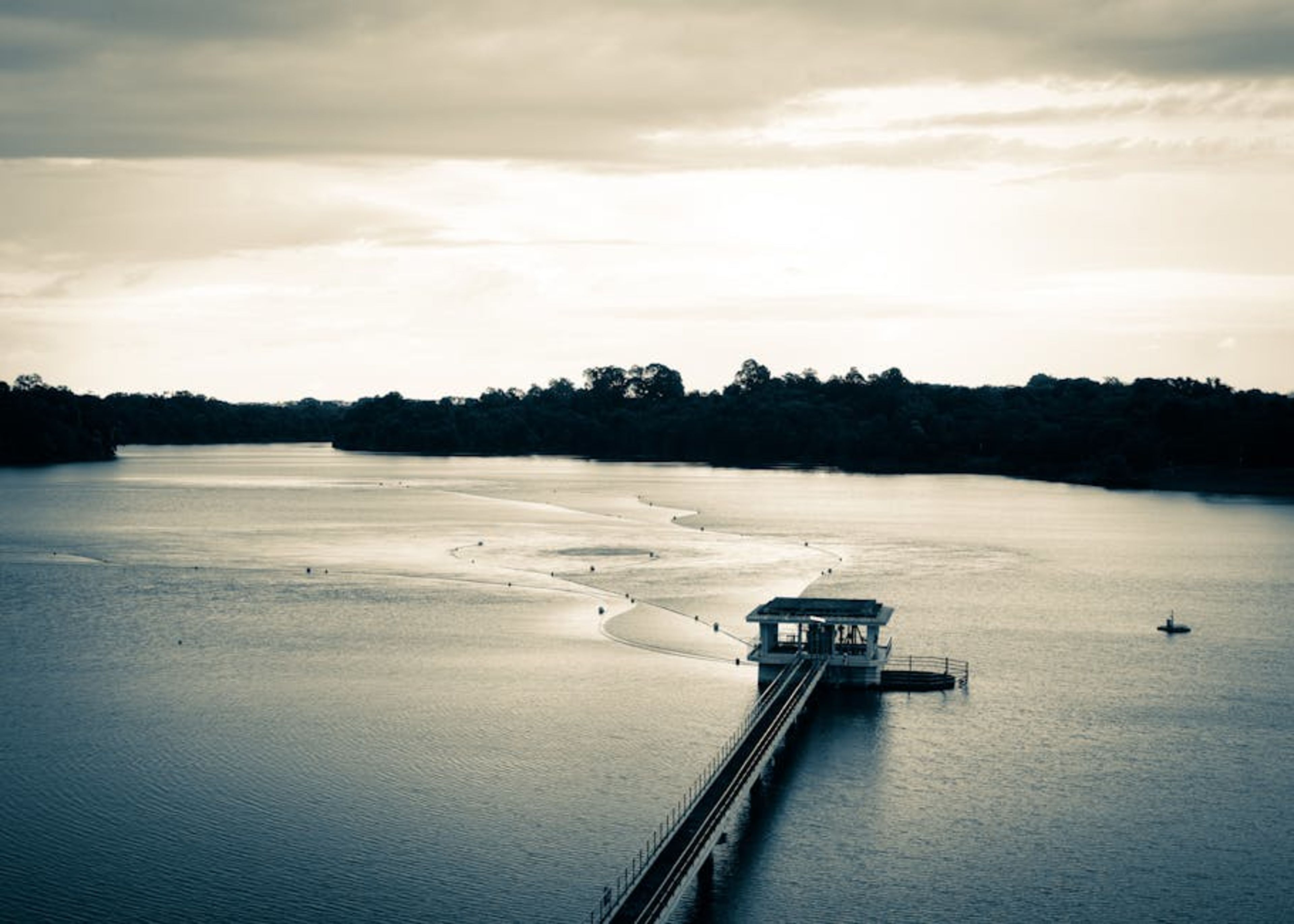 MacRitchie Reservoir & Treetop Walk