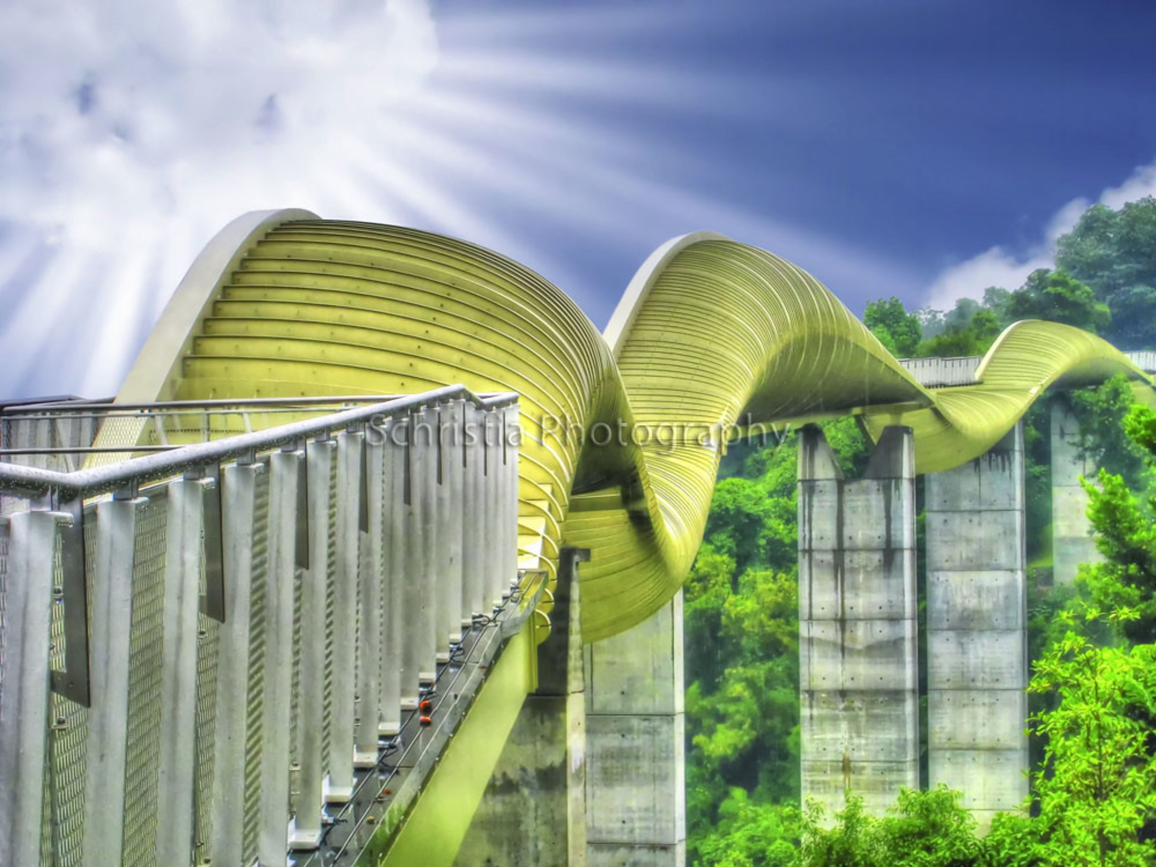 Henderson Waves Bridge