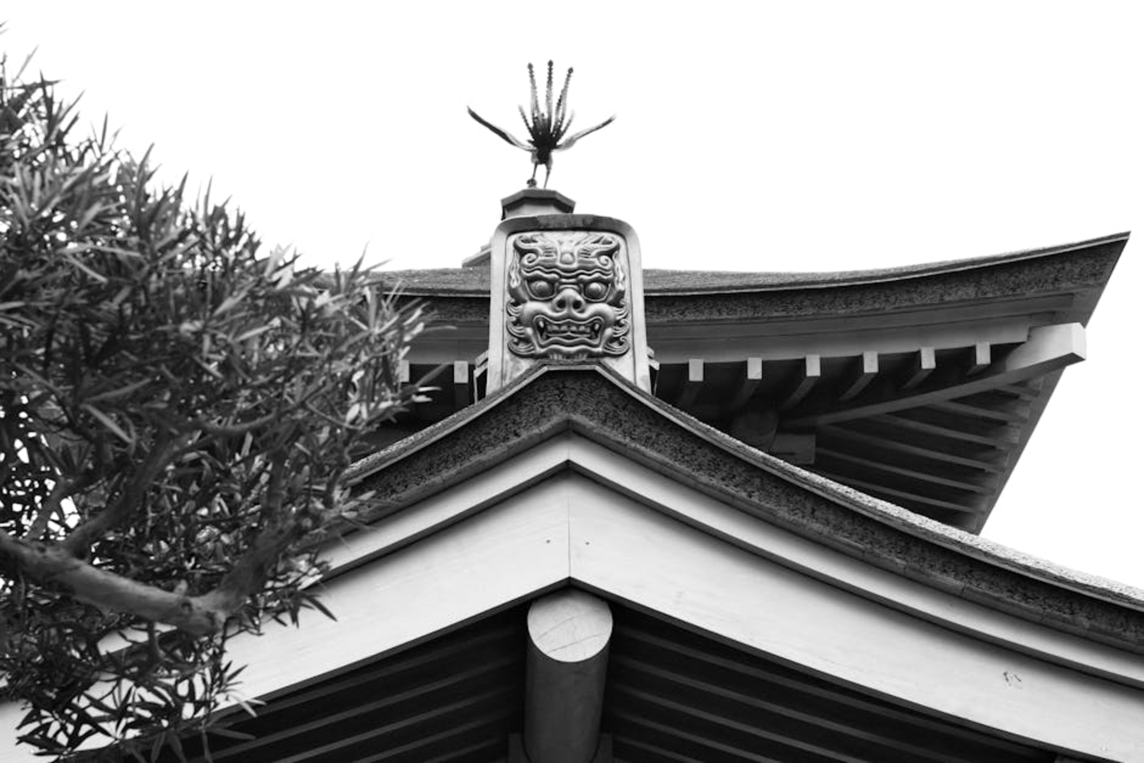 Chi Lin Nunnery