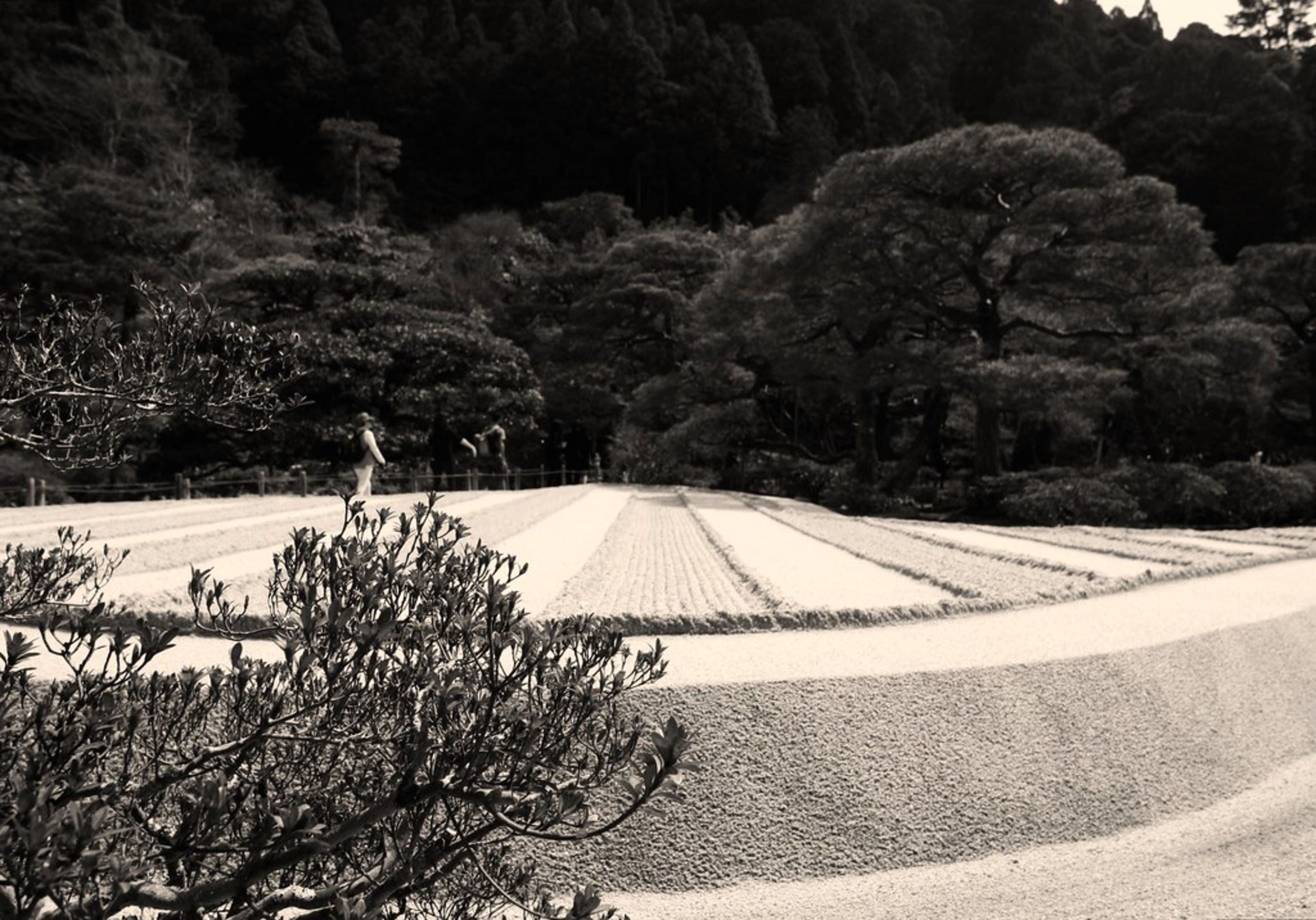 Ginkaku-ji (Silver Pavilion)