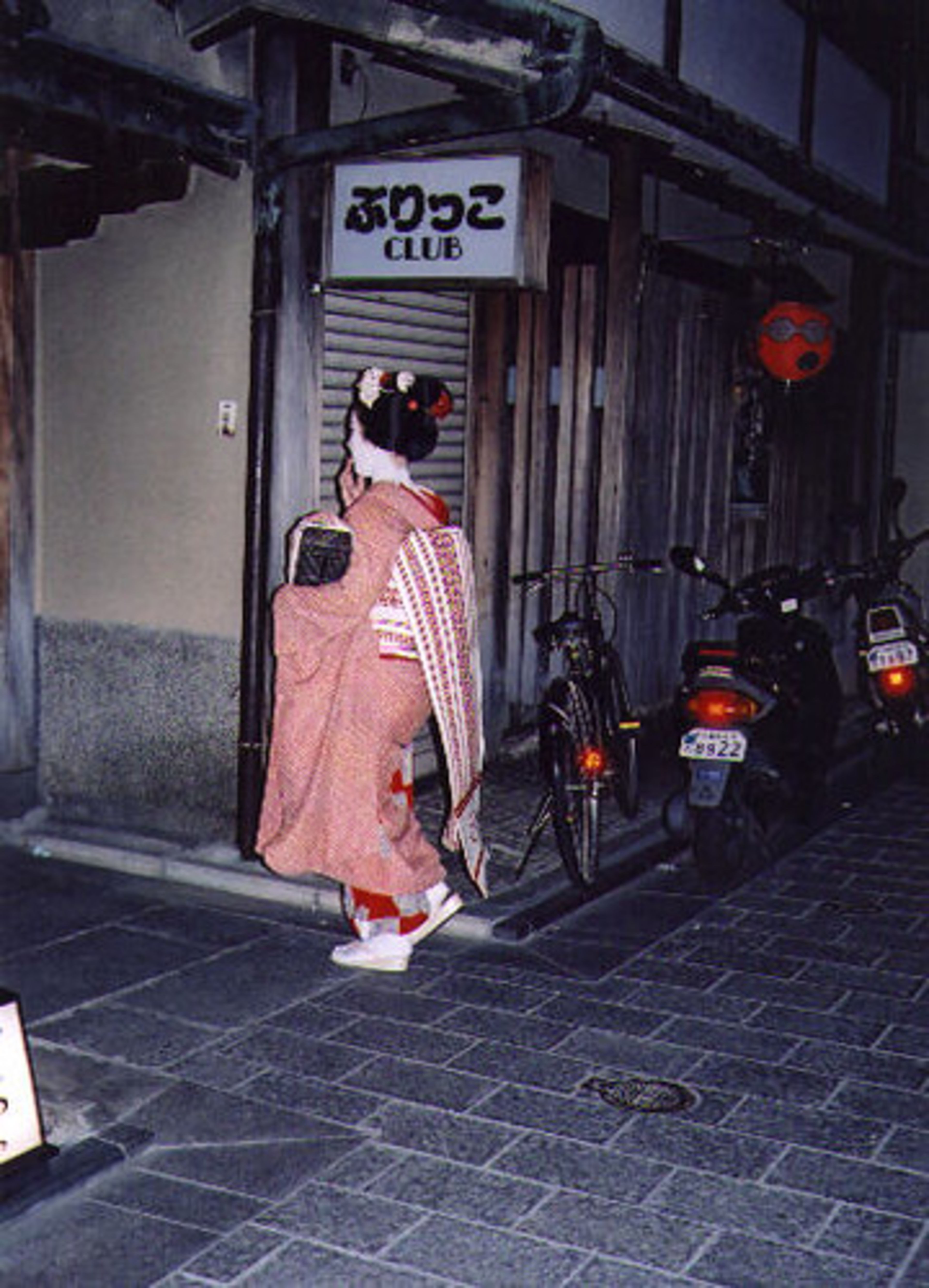 Gion District (Geisha District)
