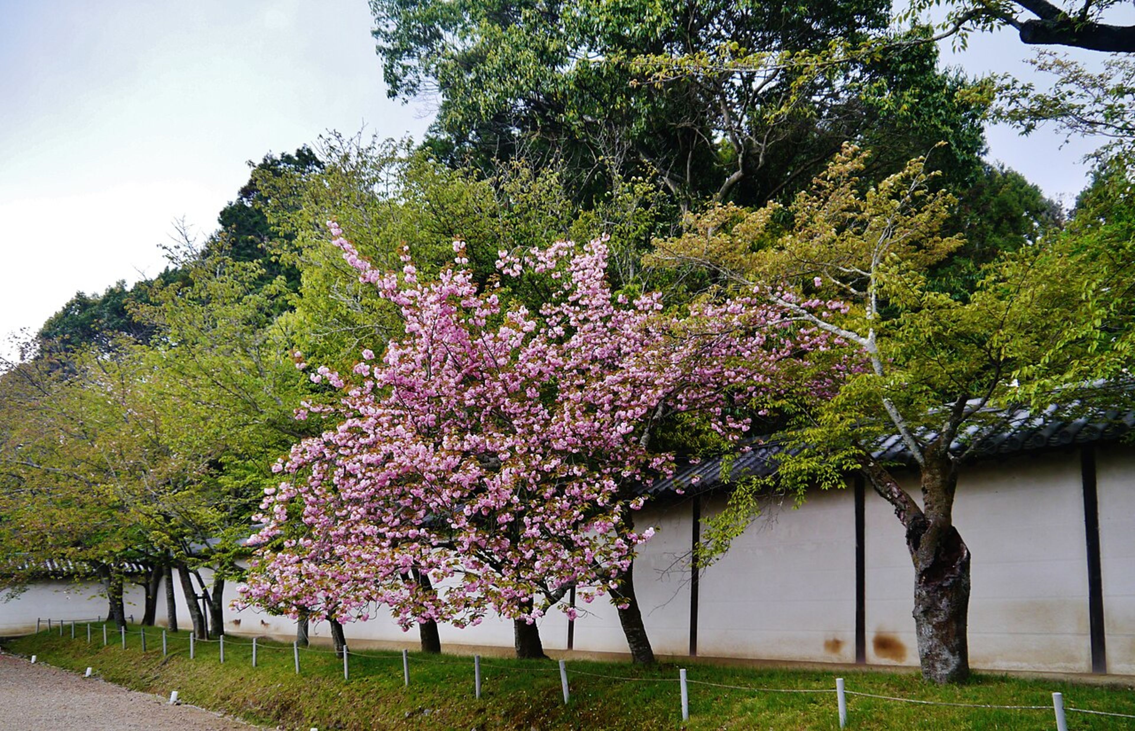Daigo-ji Temple