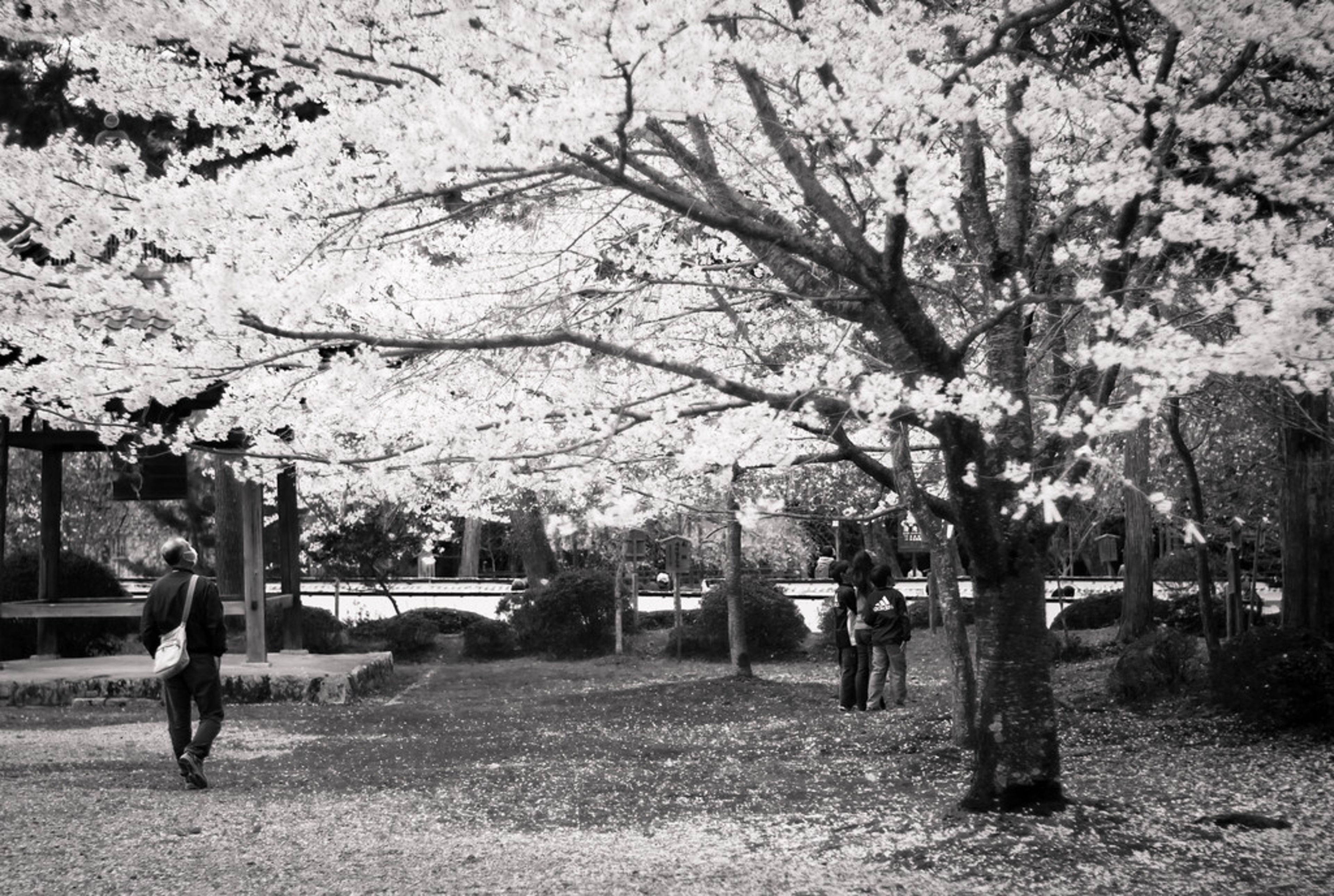 Daigo-ji Temple