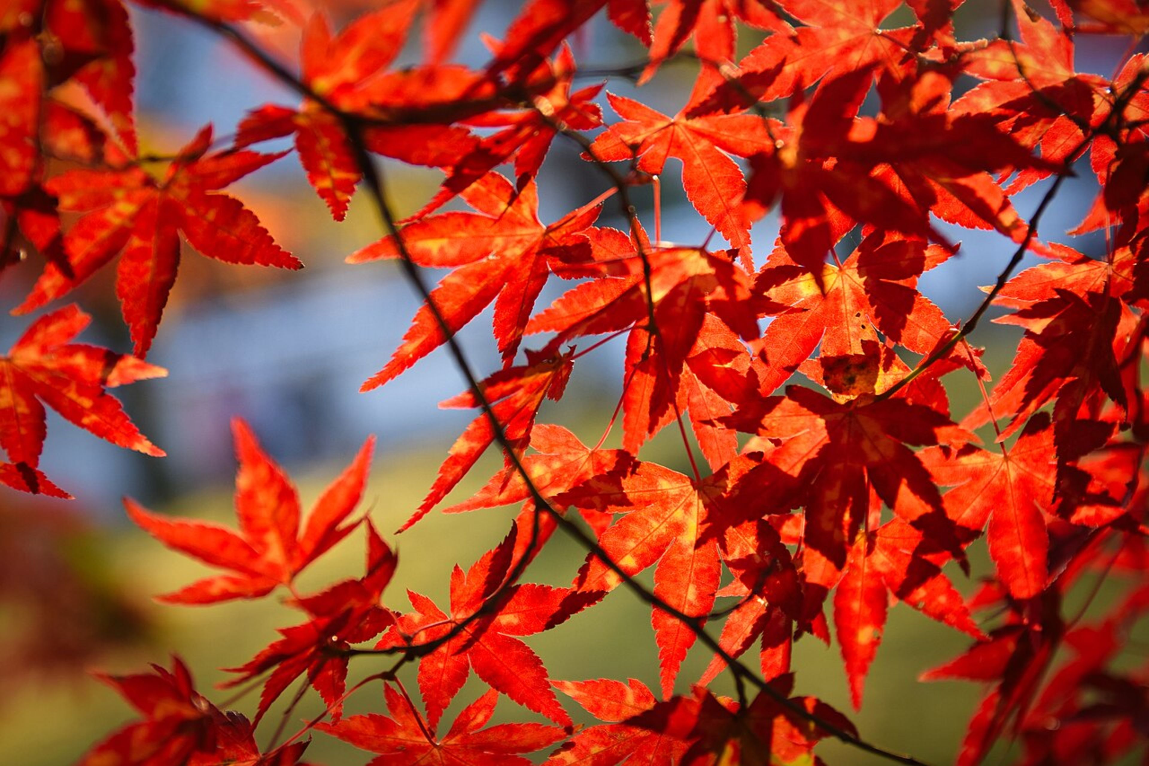 Nanzen-ji Temple