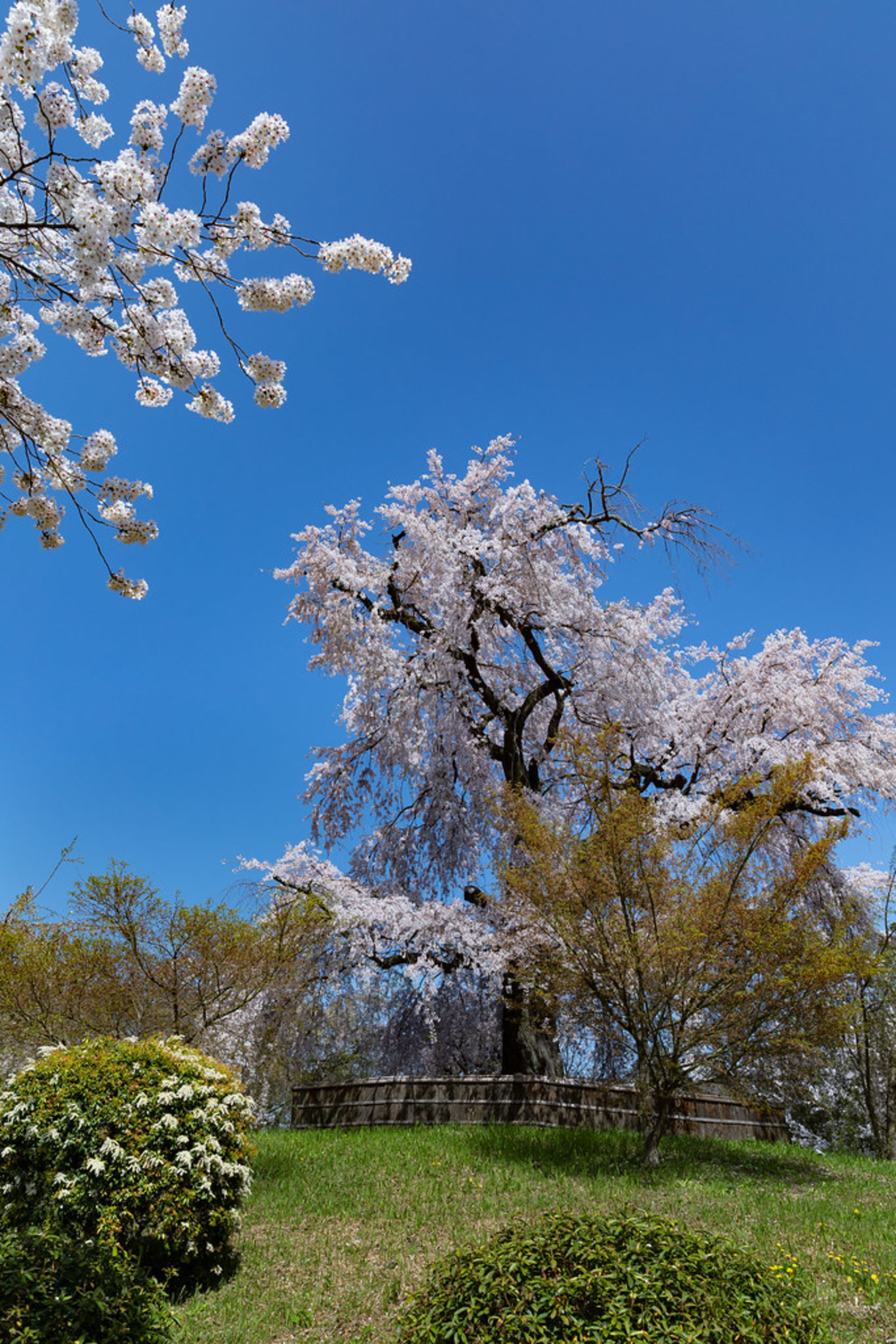 Maruyama Park