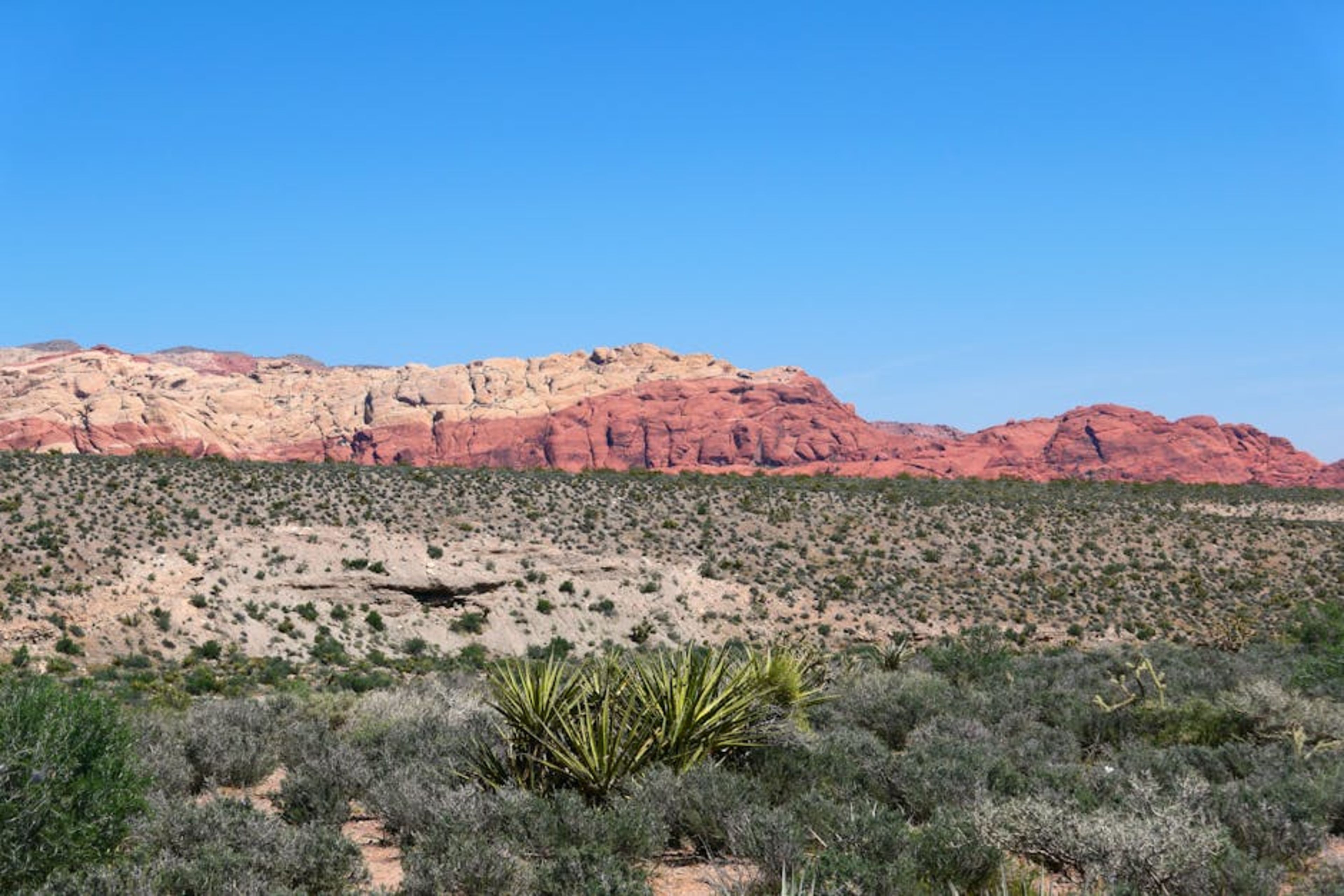 Grand Canyon West (day trip)