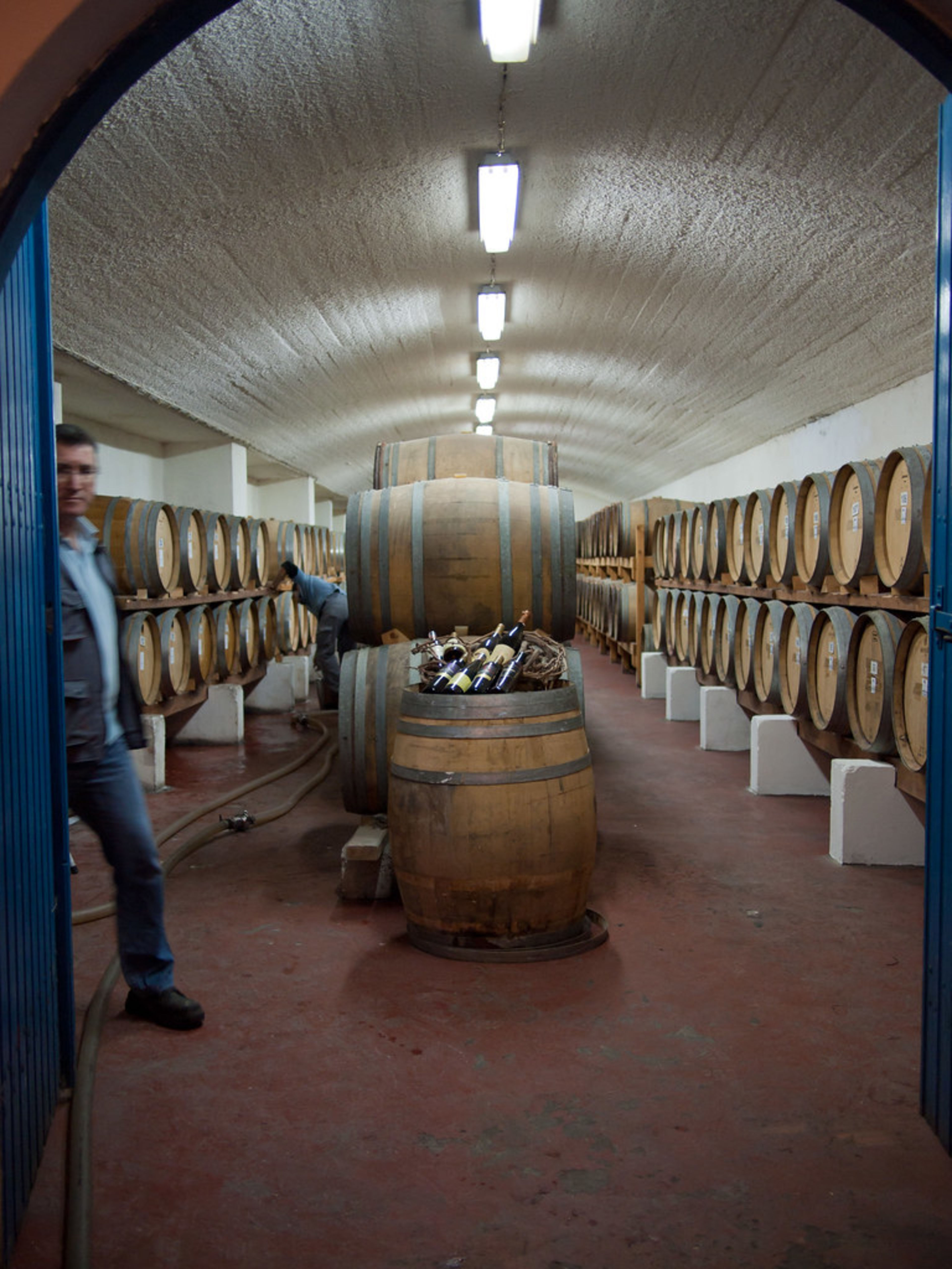 Santo Wines Winery