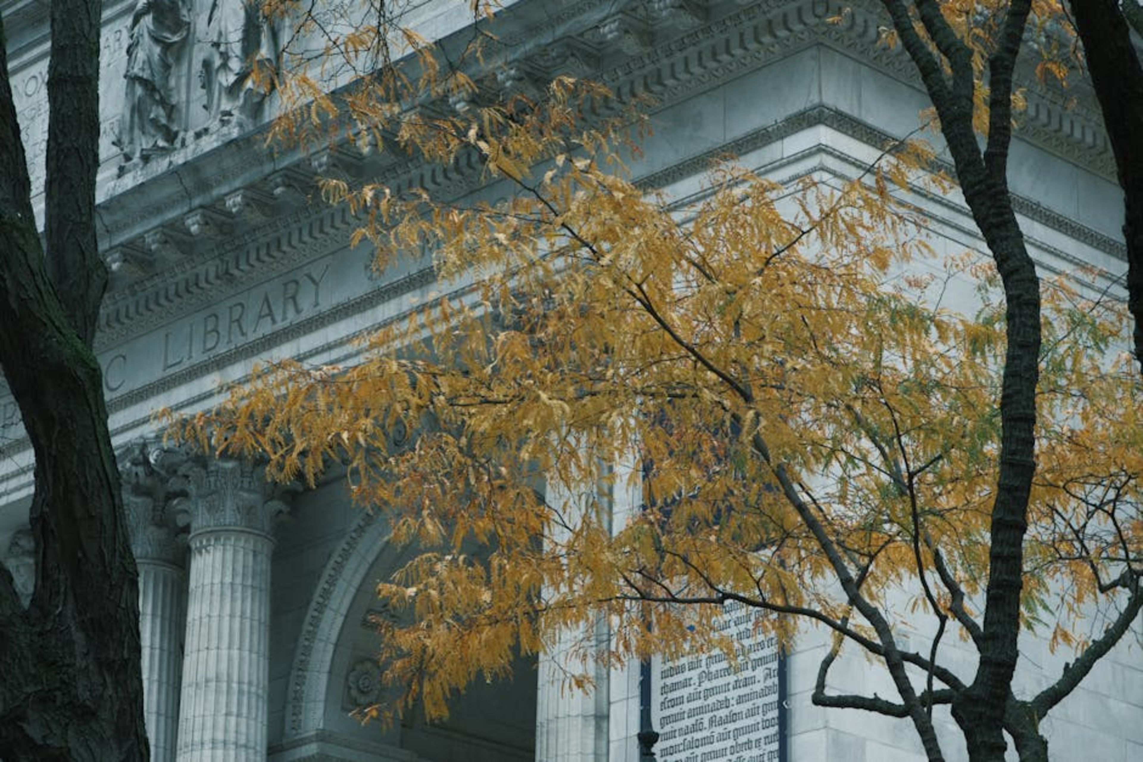 The Morgan Library & Museum