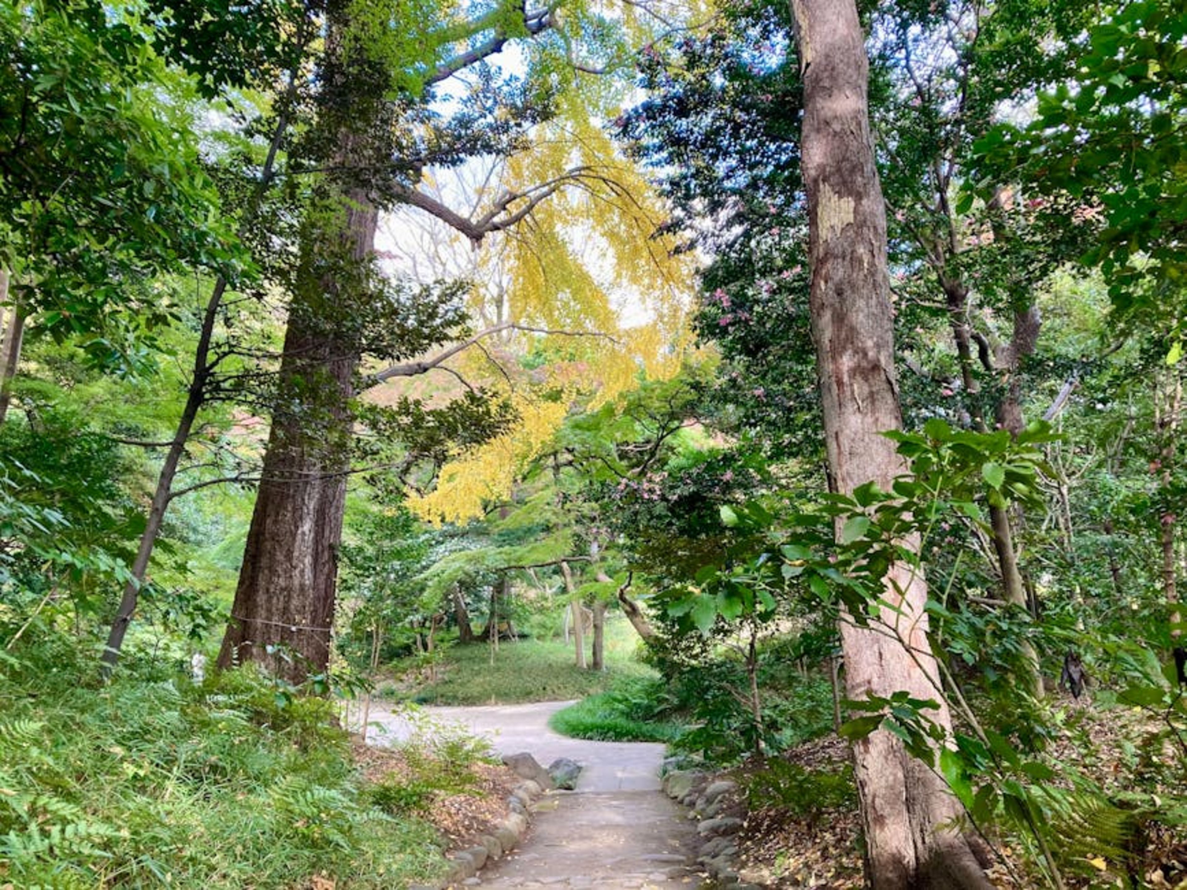 Shinjuku Gyoen National Garden