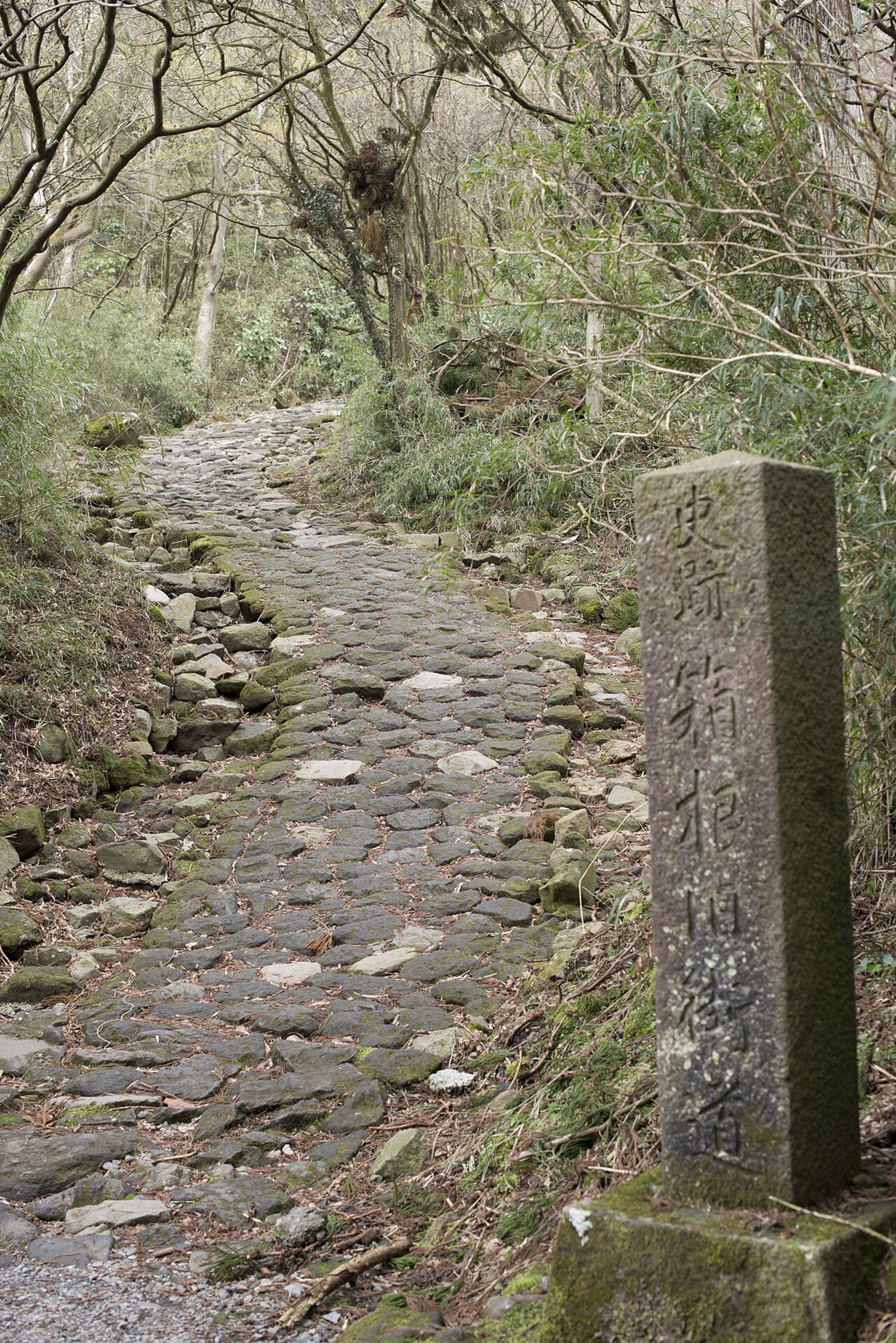 Hakone (day trip)