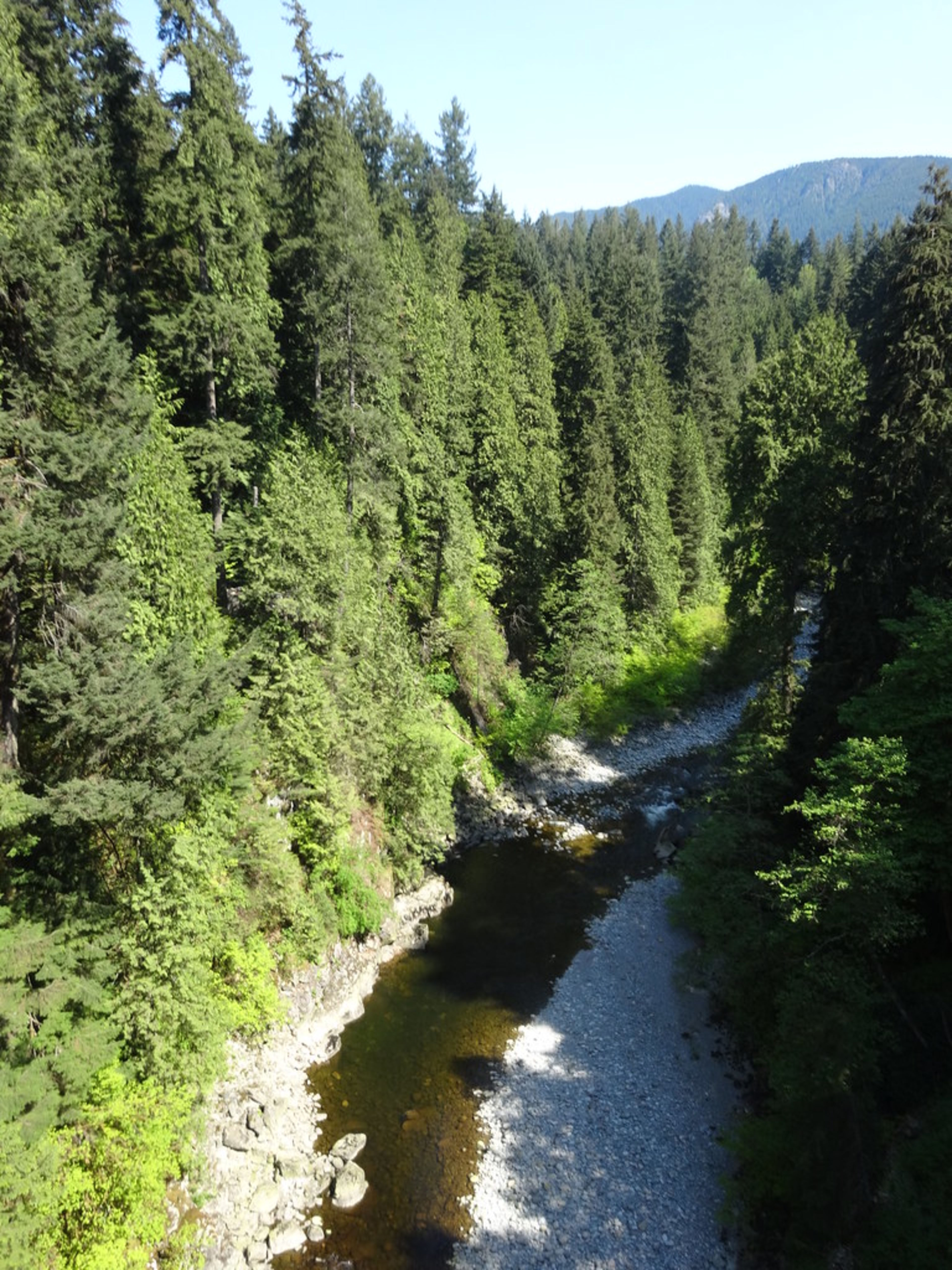 Capilano Suspension Bridge