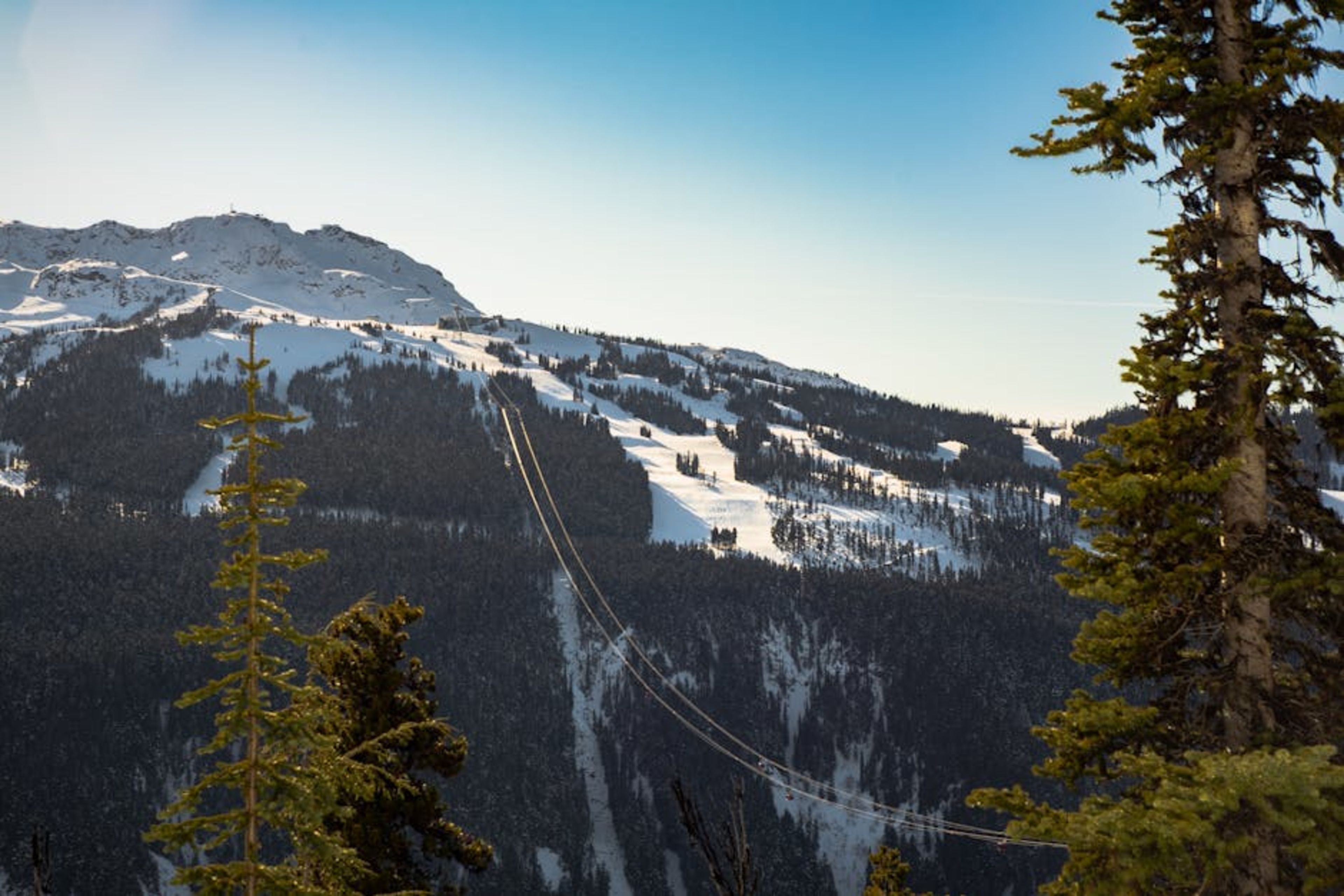 Whistler (day trip / ski resort)