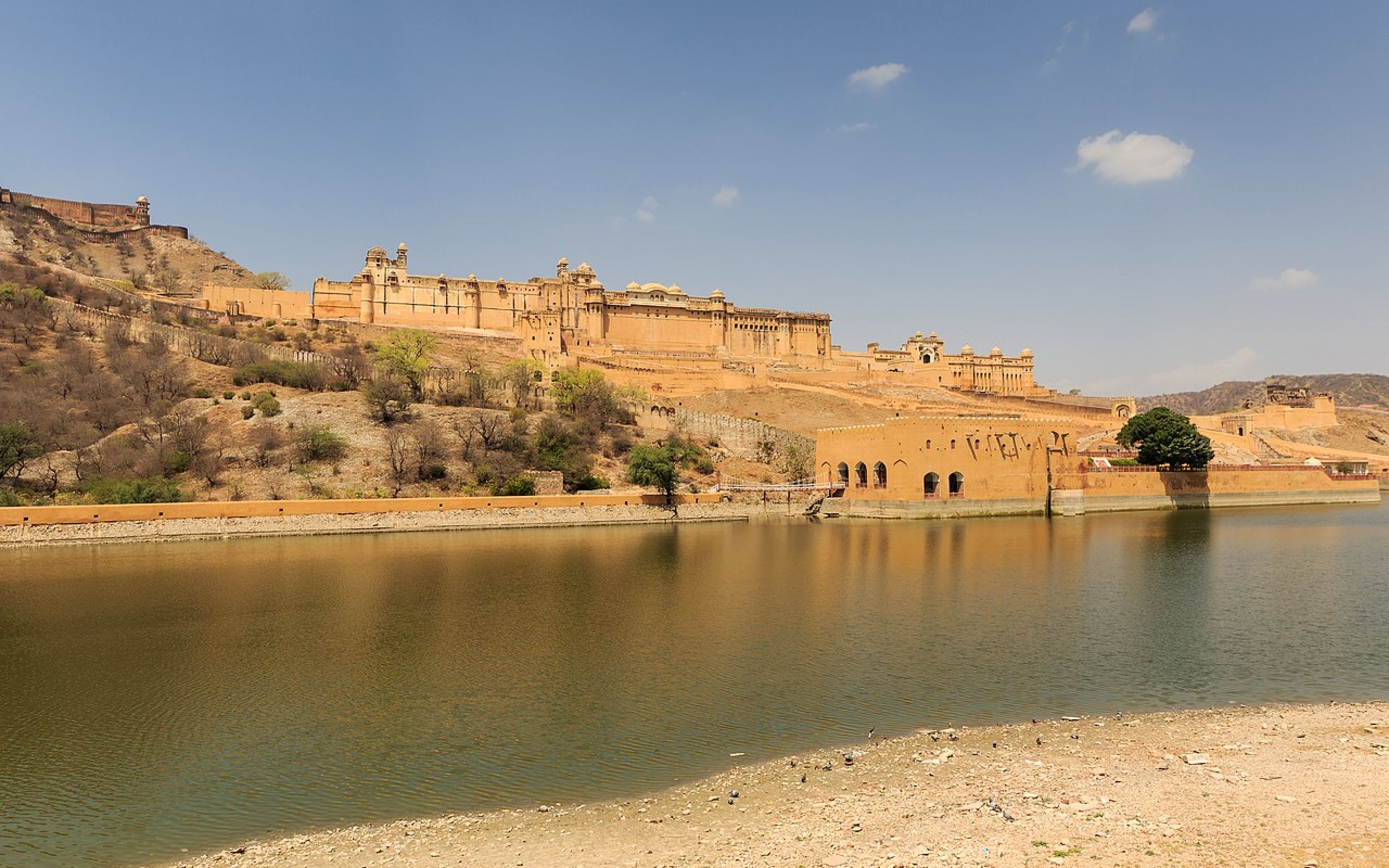 Amber Fort (Amer Fort)