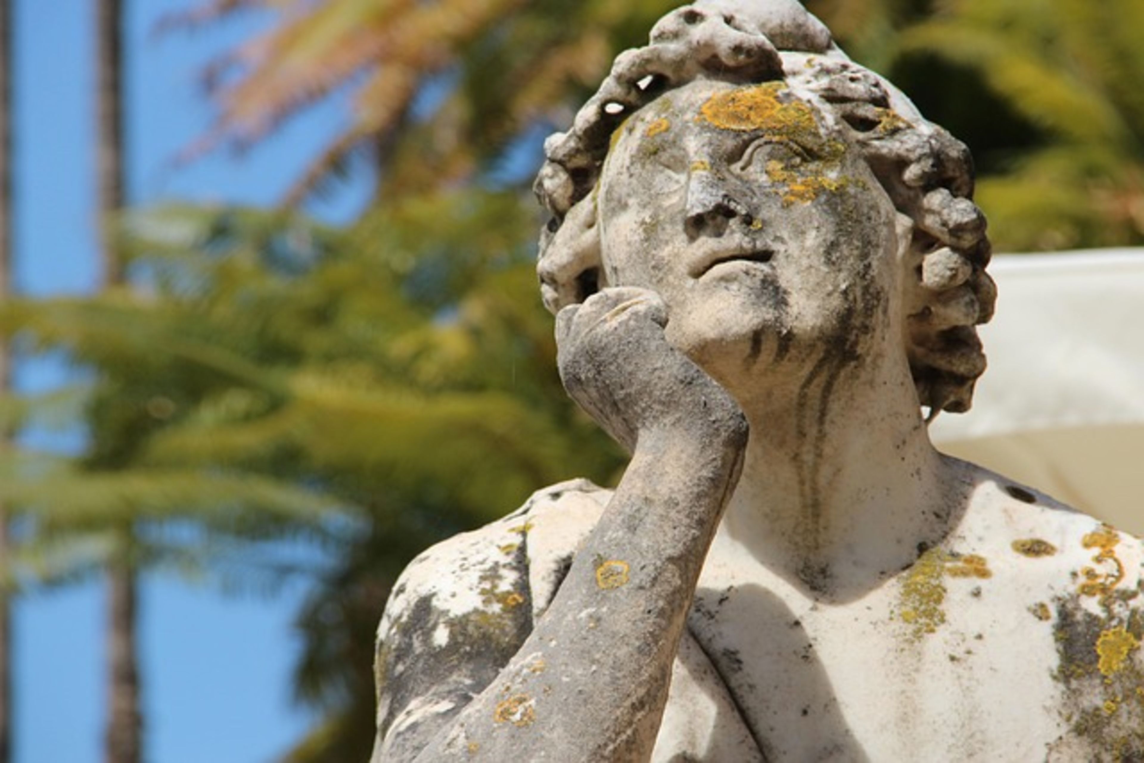 Orto Botanico di Roma