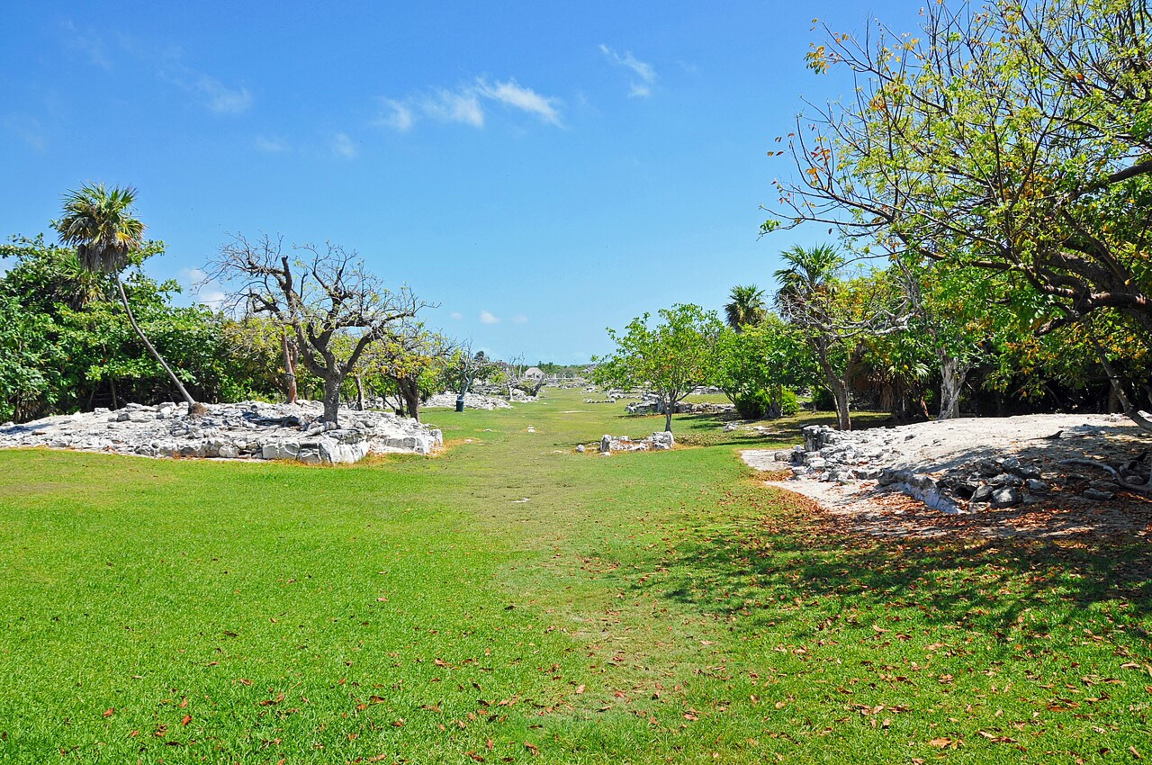 Cobá Ruins