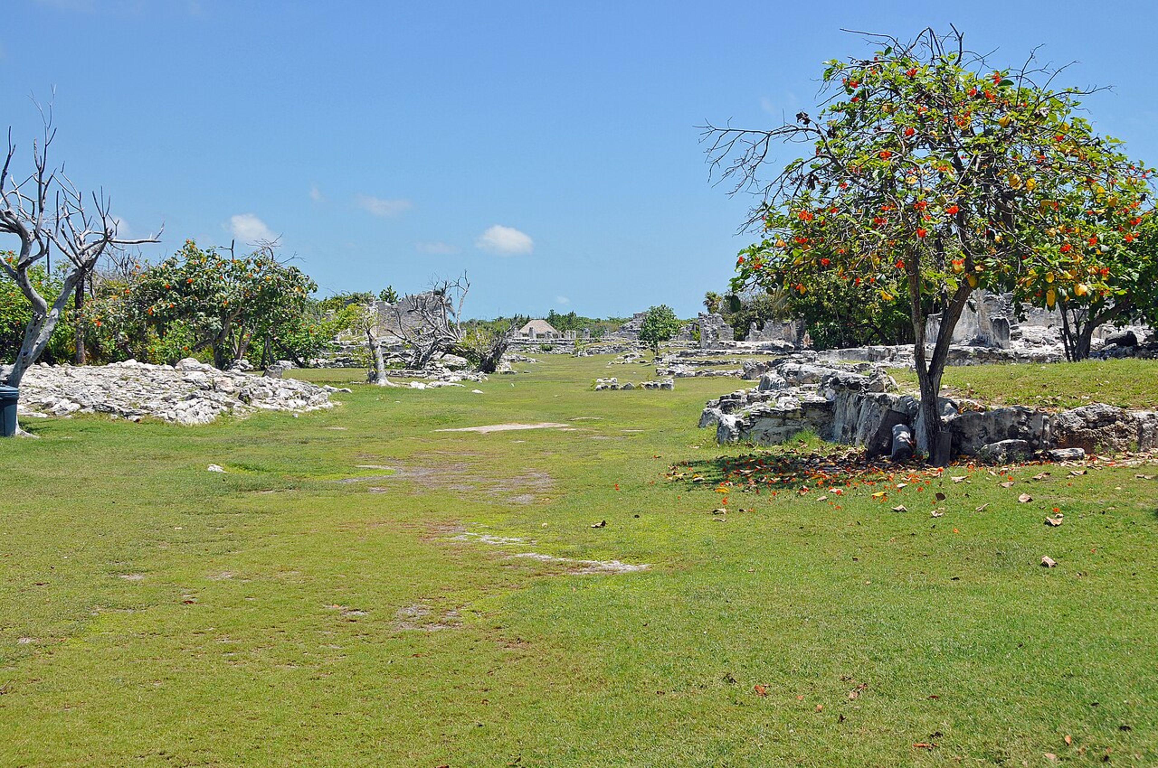 Cobá Ruins