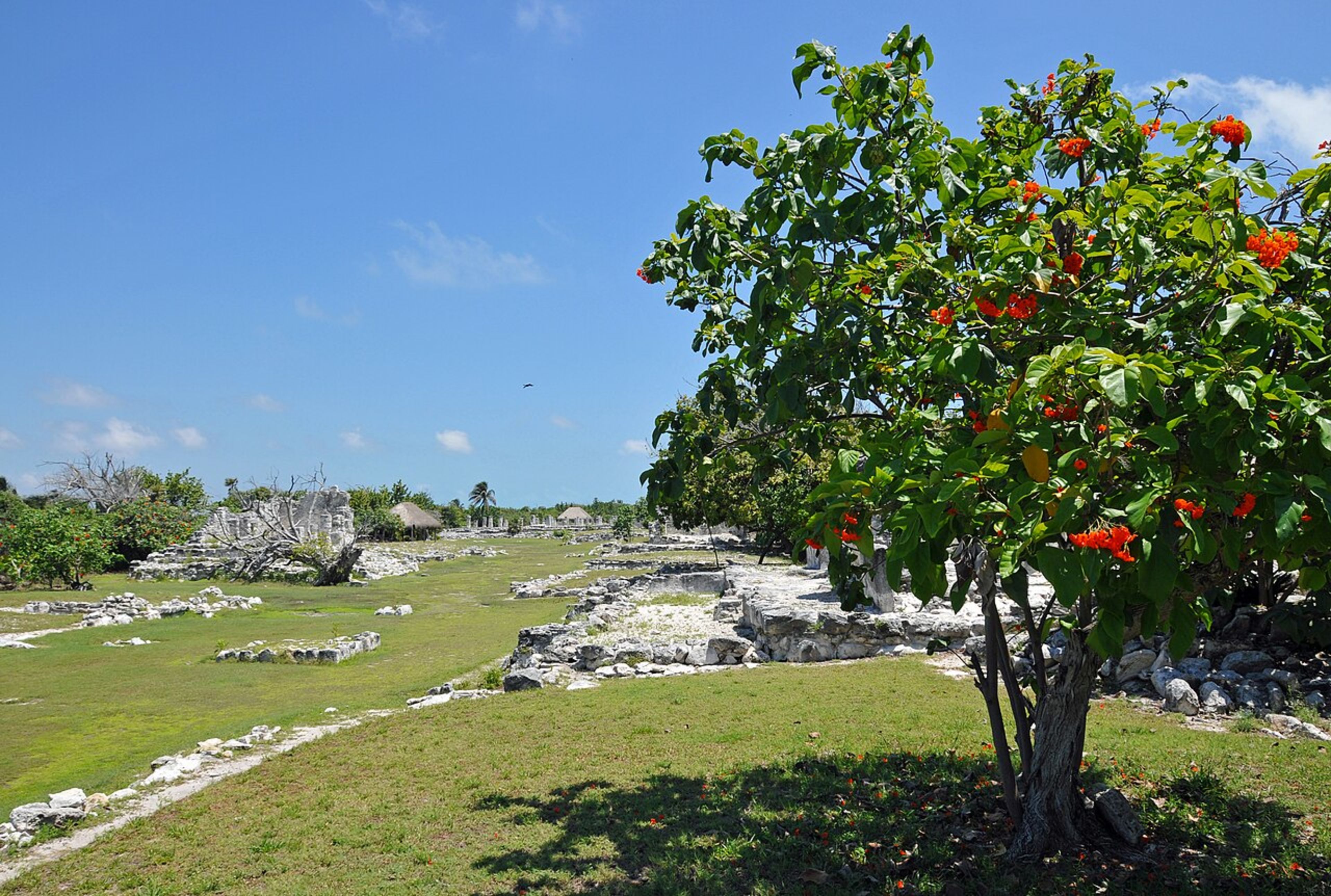 Cobá Ruins