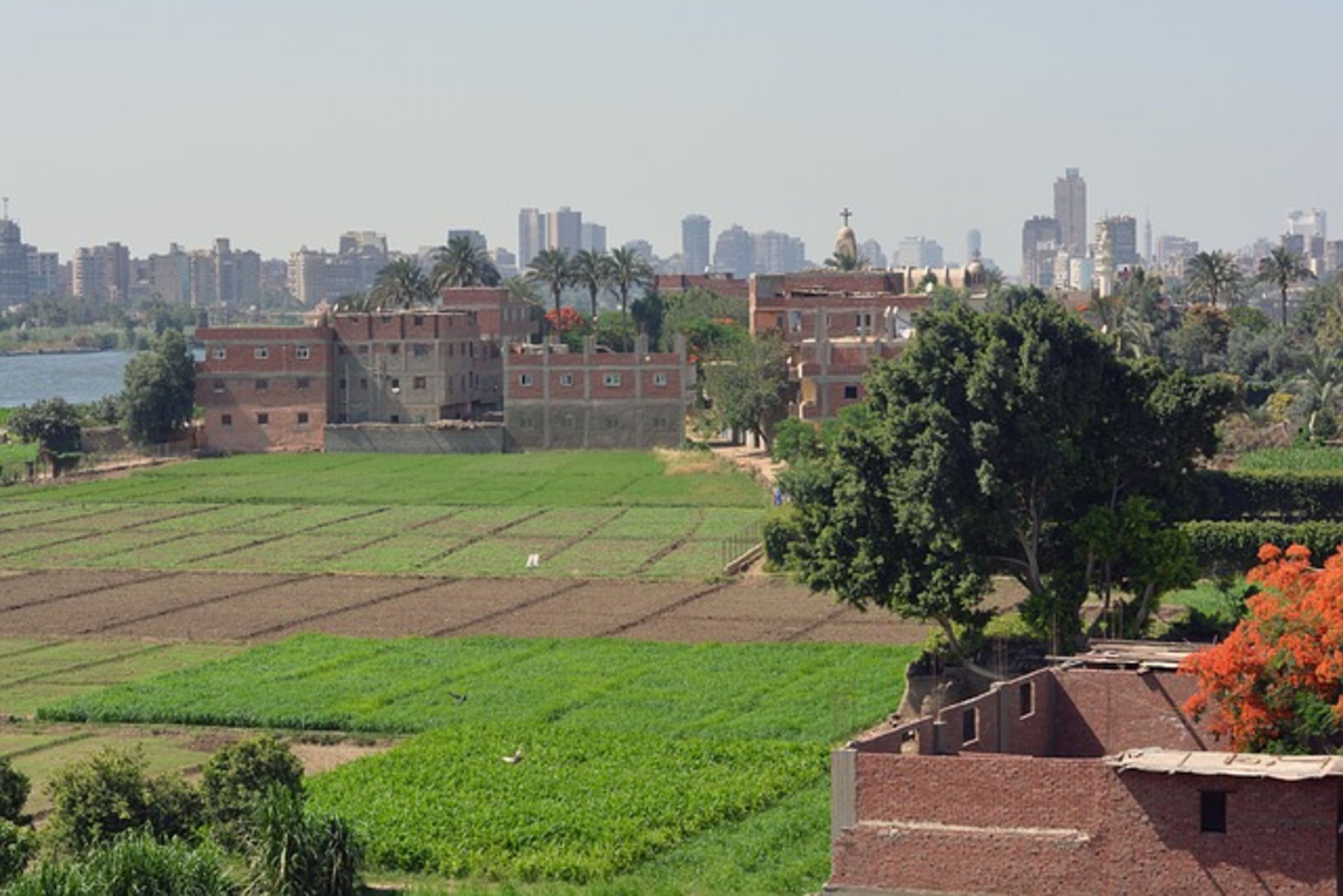 Gezira Island