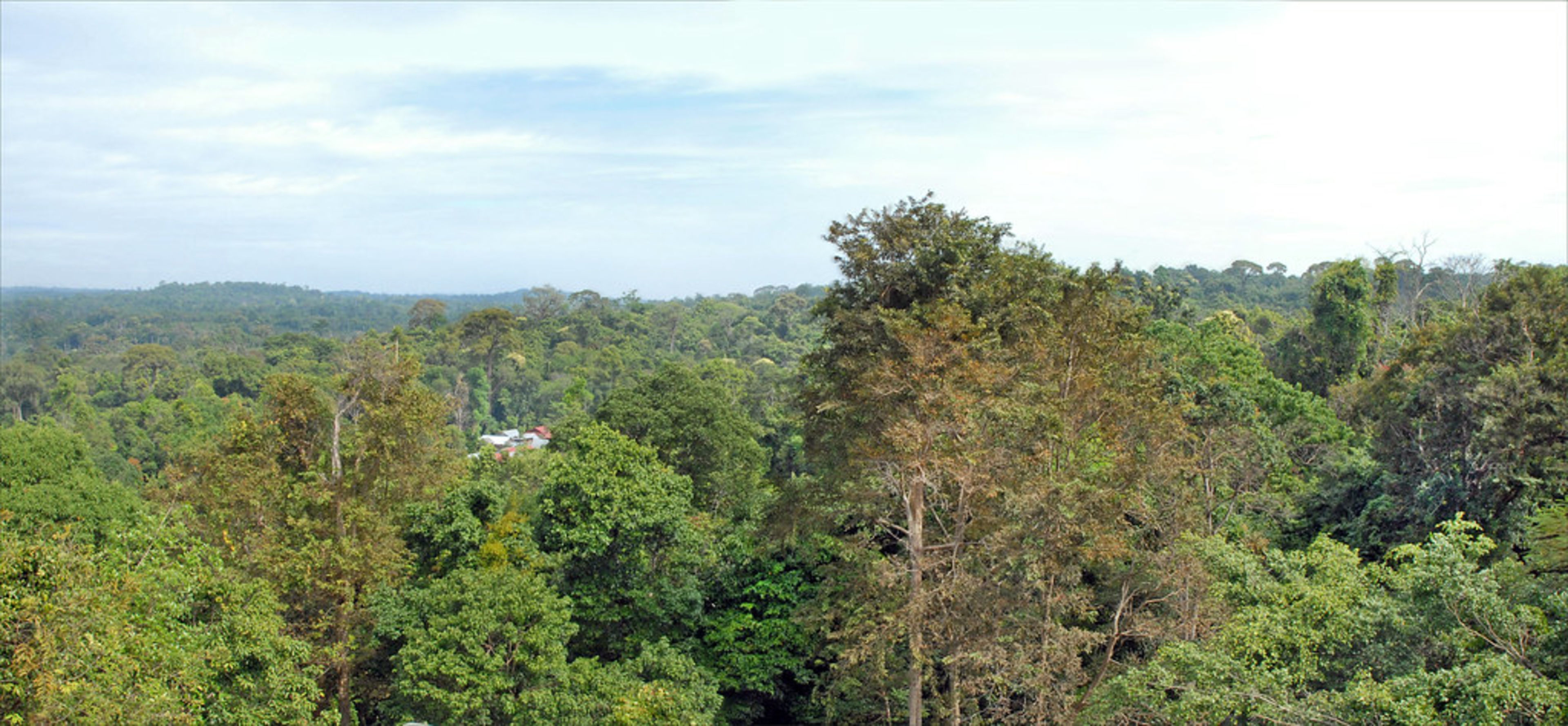 Kulen Mountain (Phnom Kulen)