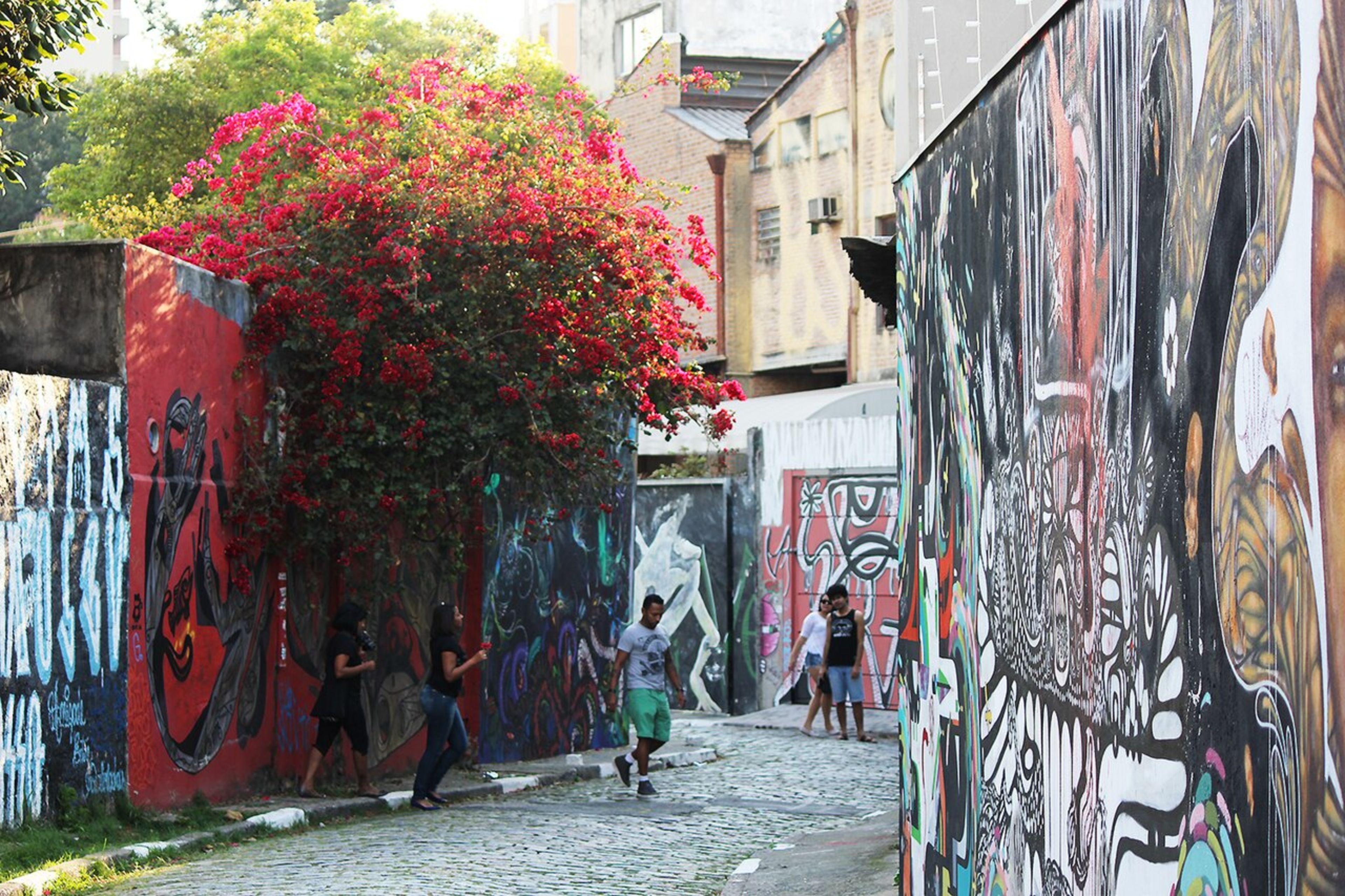 Beco do Batman (Street Art)