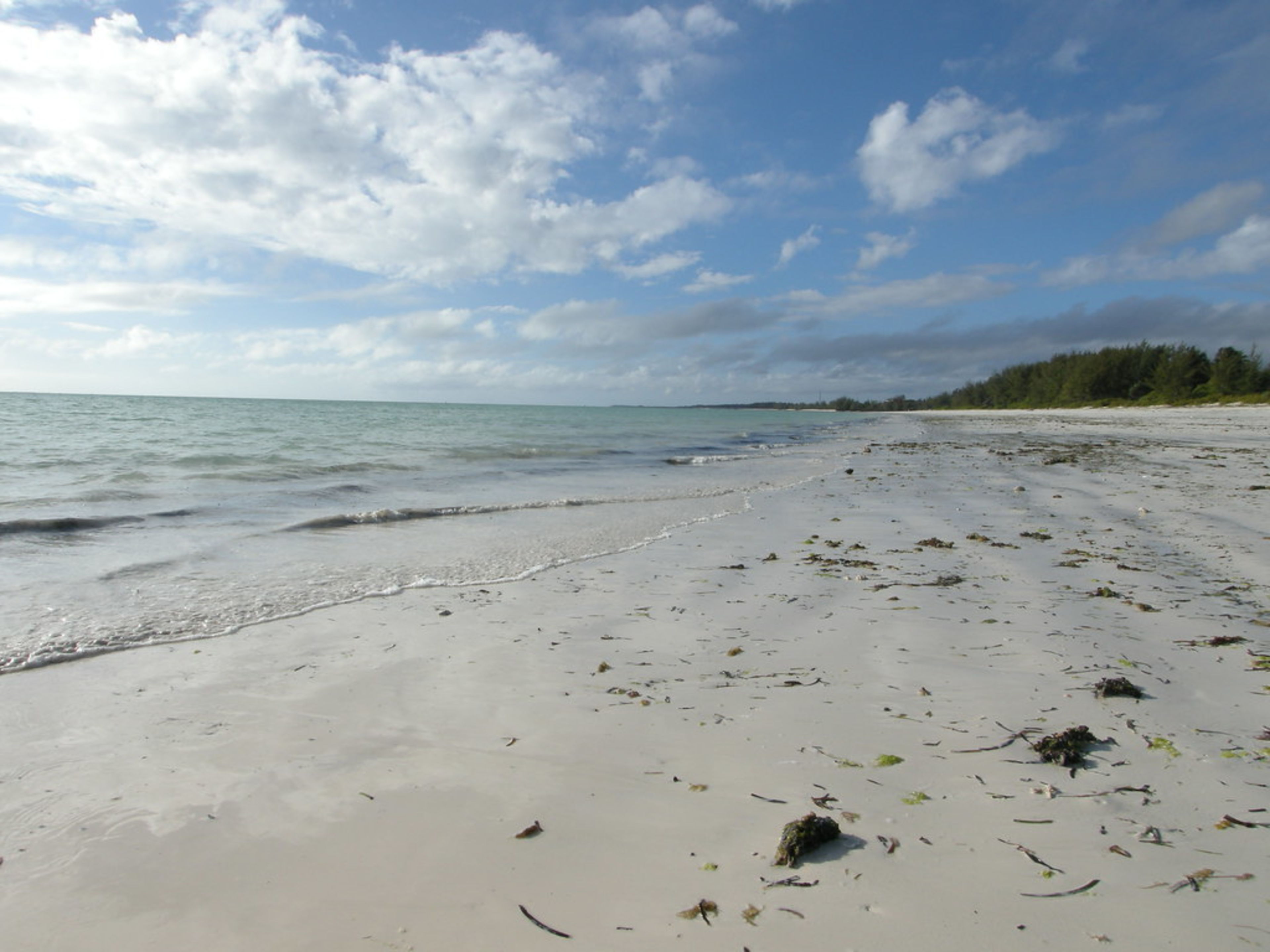 Jambiani Beach