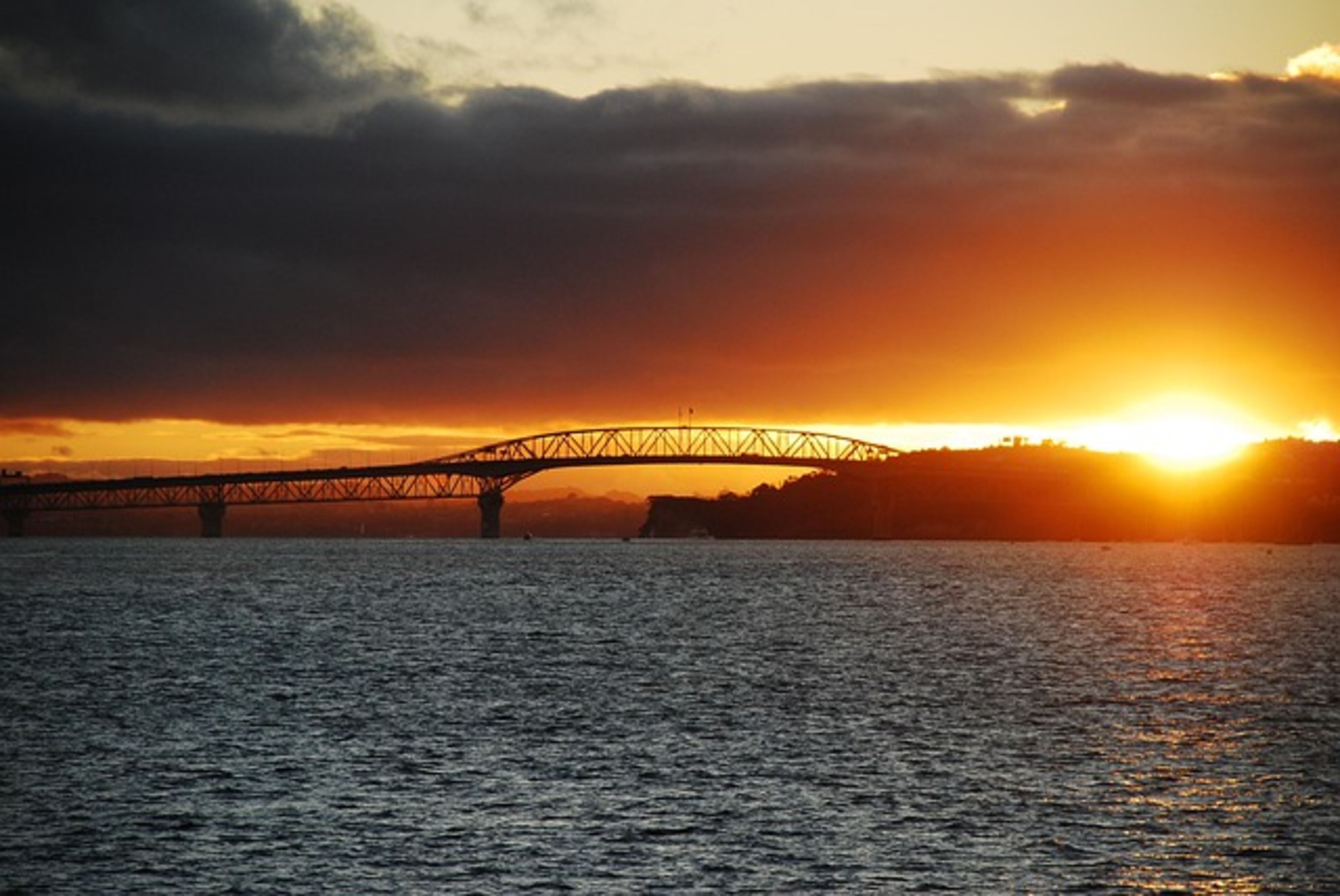 Rangitoto Island