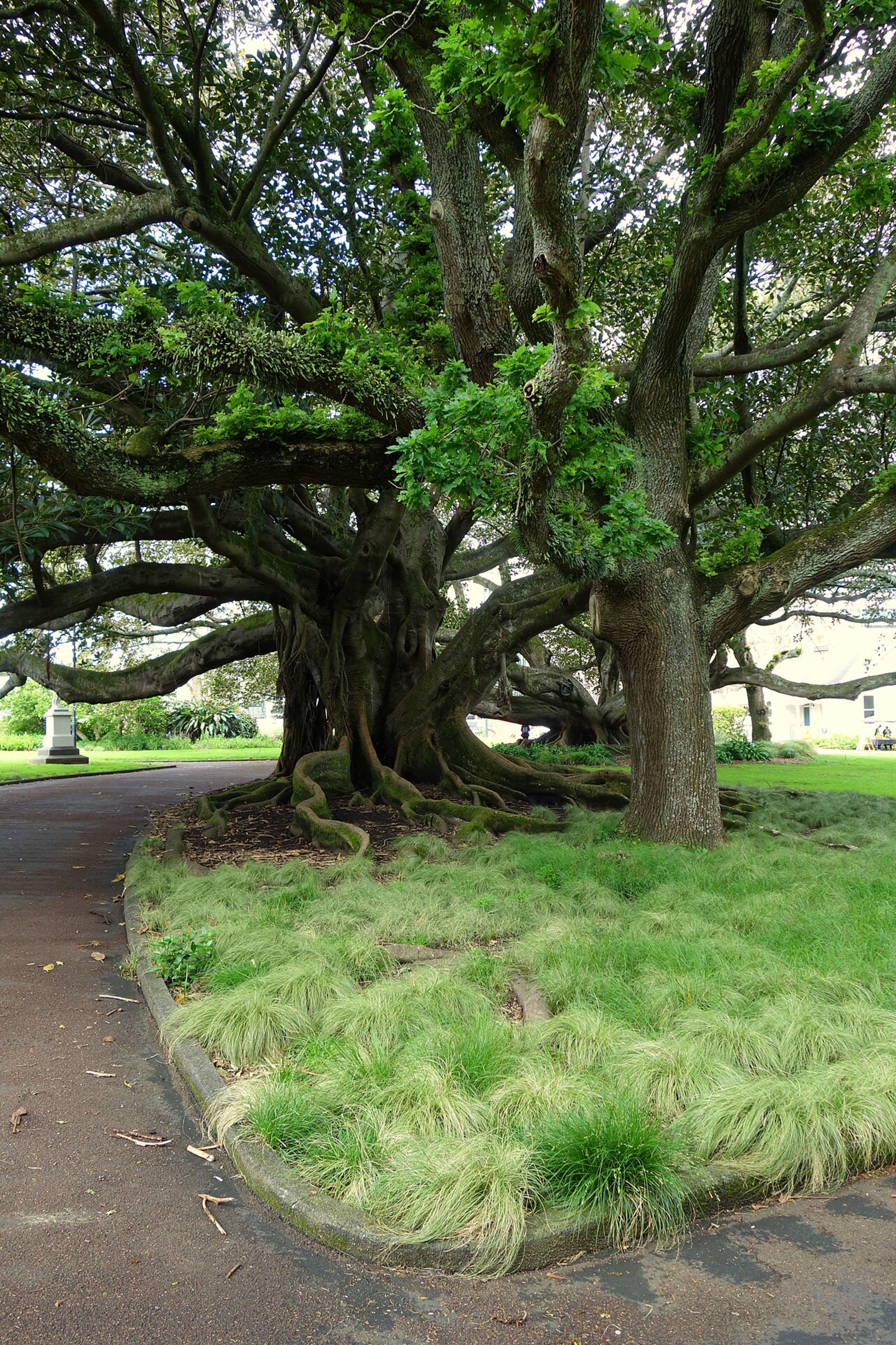 Albert Park