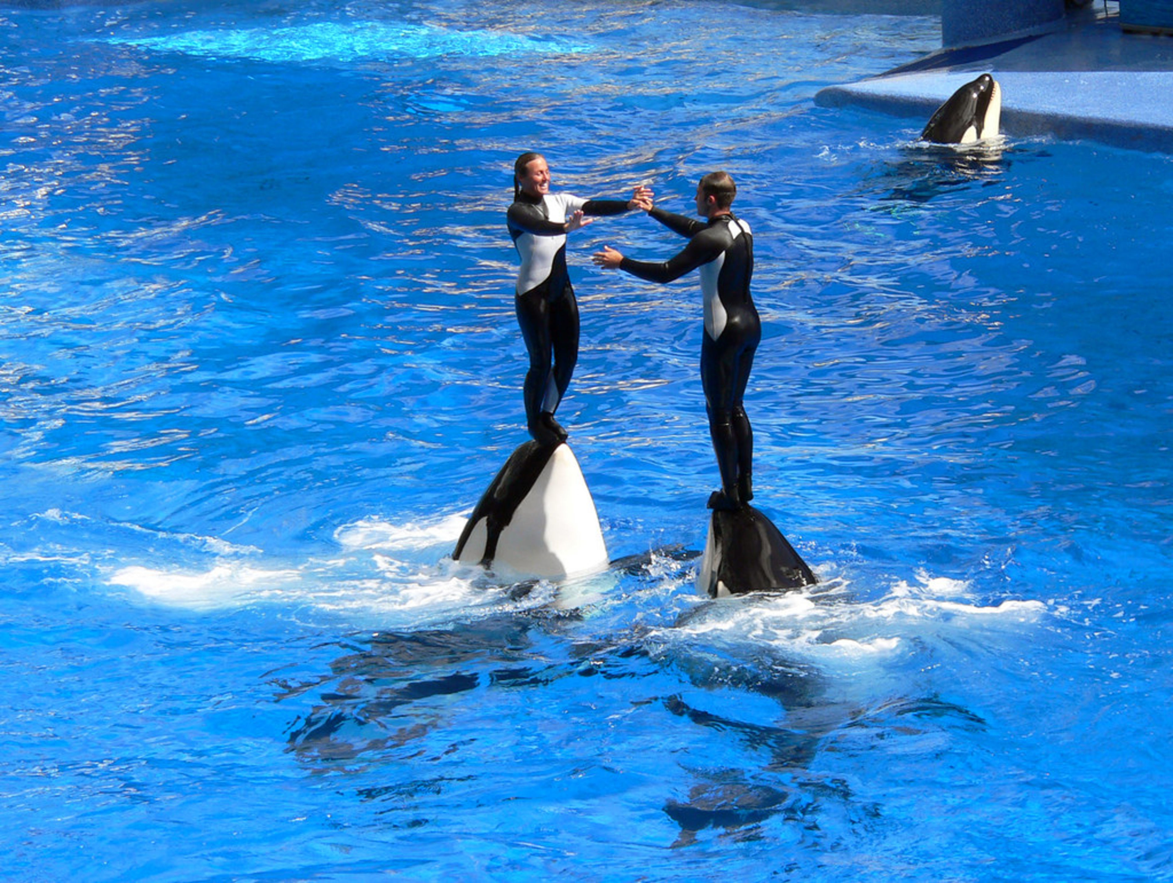 SeaWorld Orlando
