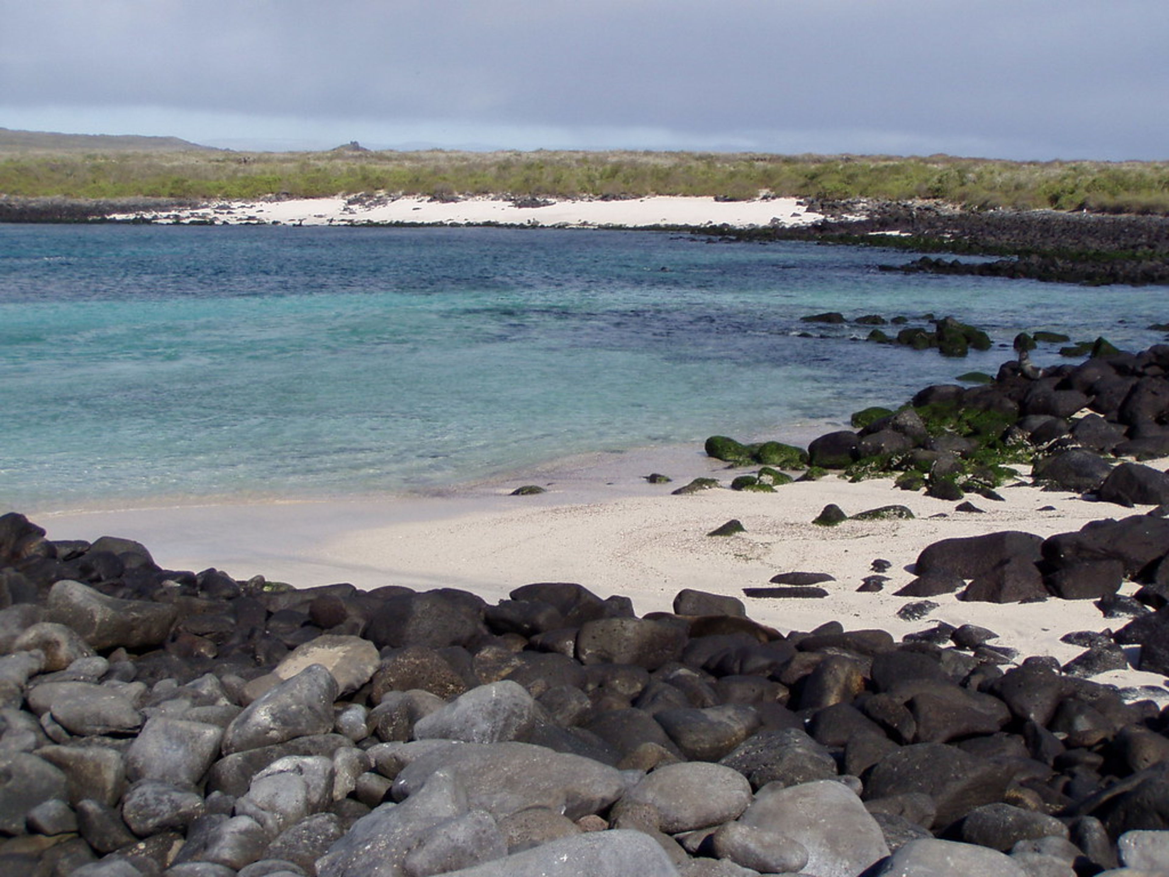 Gardner Bay (Española)
