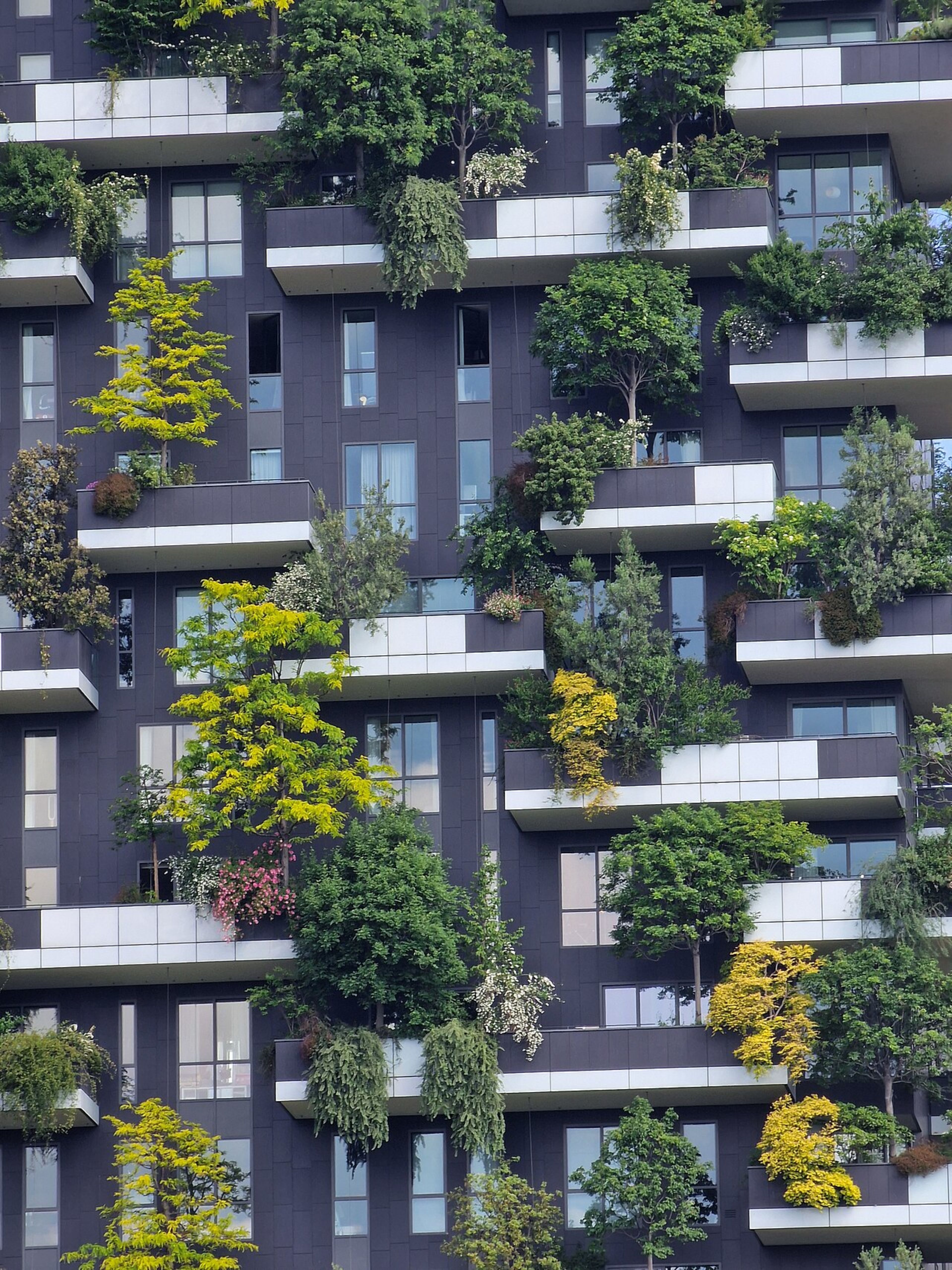 Vertical Forest (Bosco Verticale)
