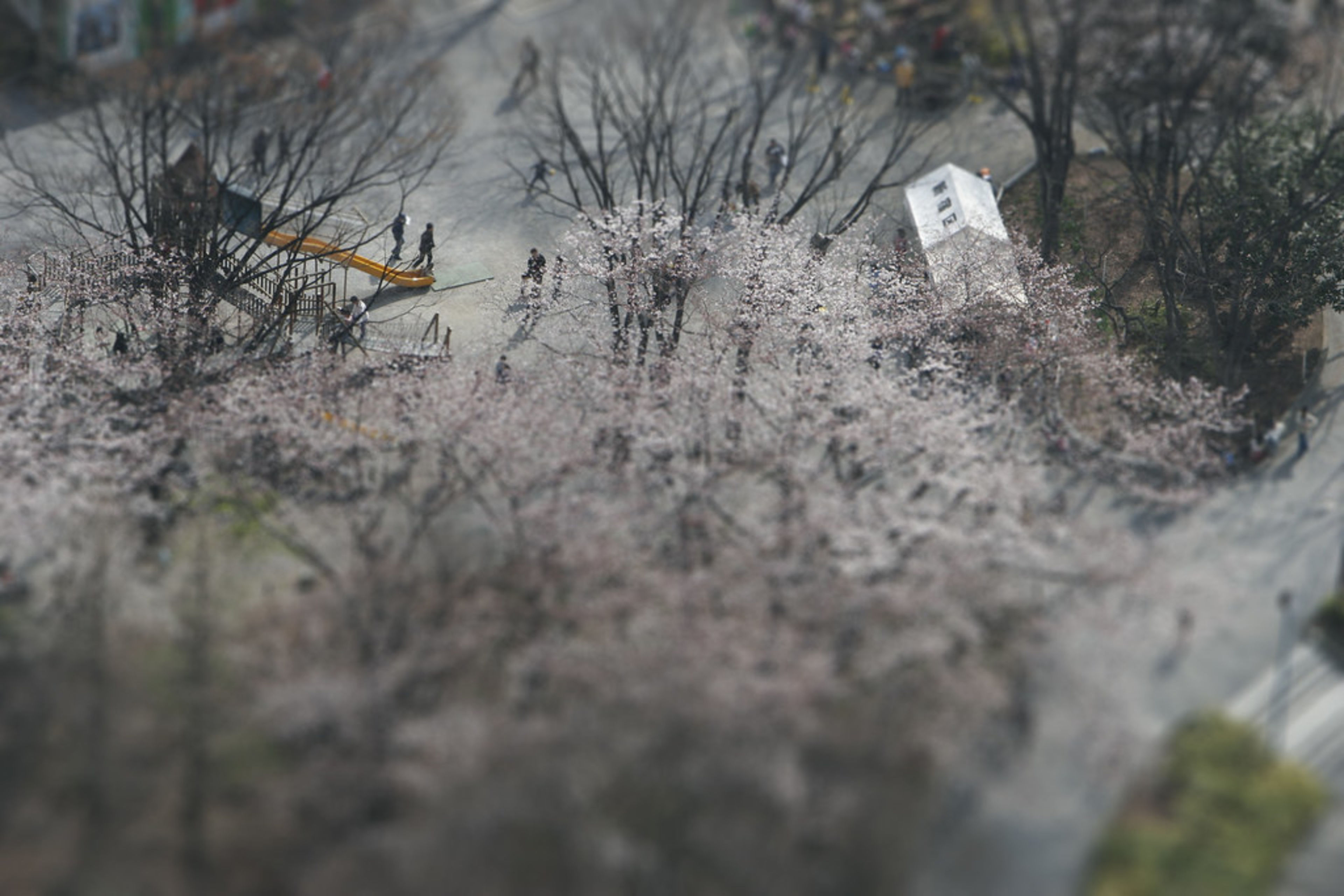 Shinjuku Central Park